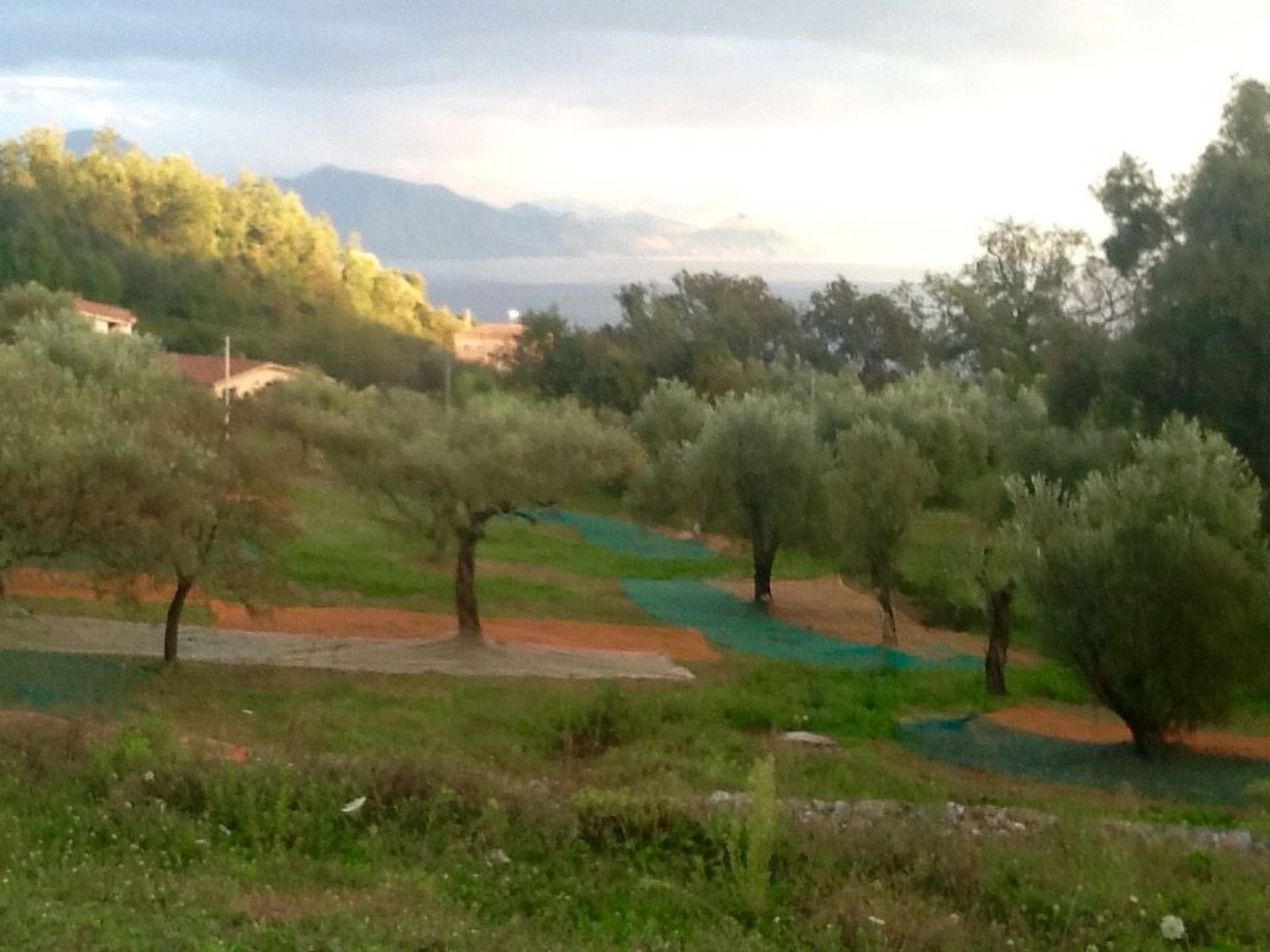 Gästehaus an die Villa angeschlossen-Binnen