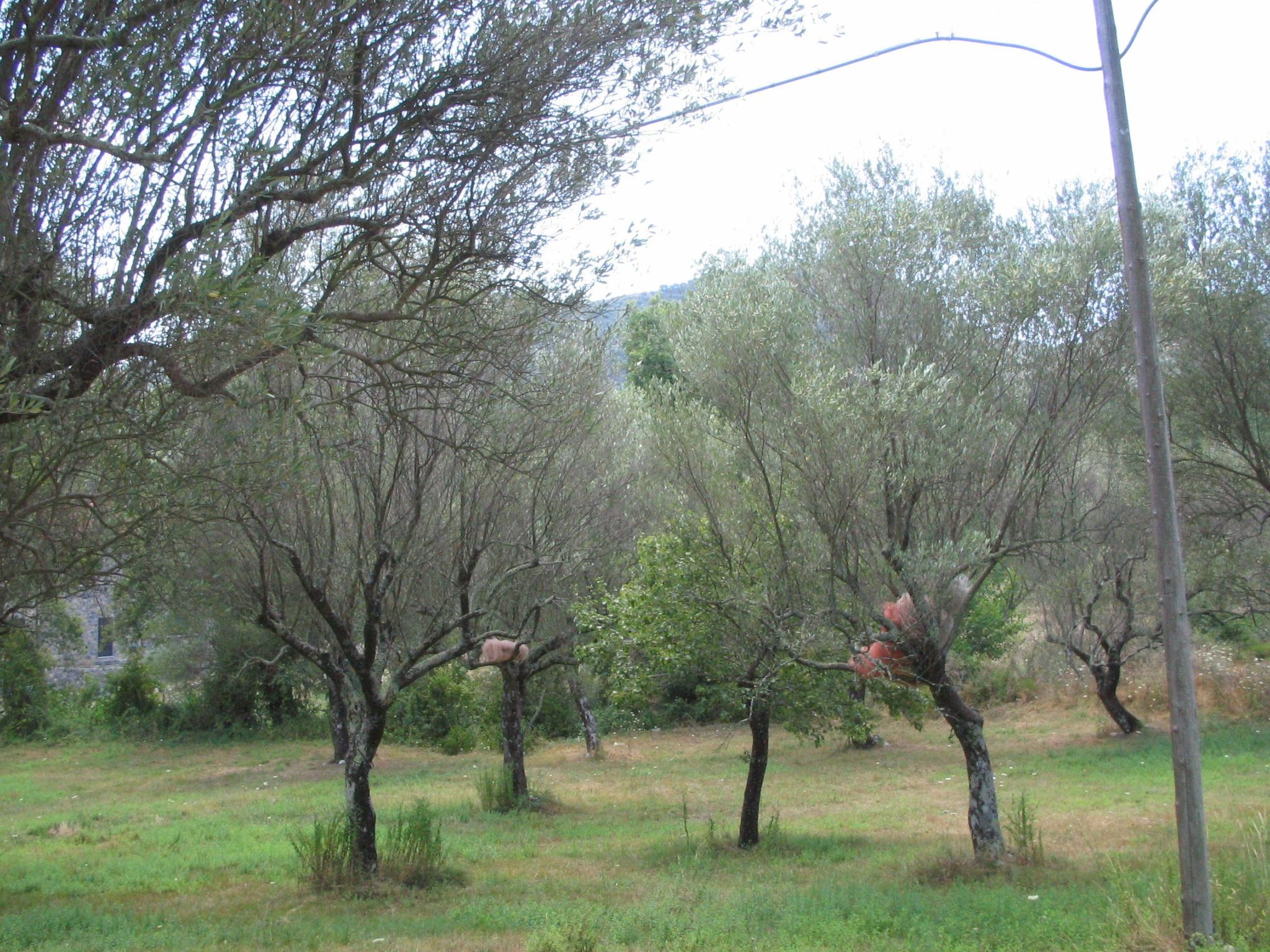 Ferienvilla "Melles" mit privatem Pool-Binnen
