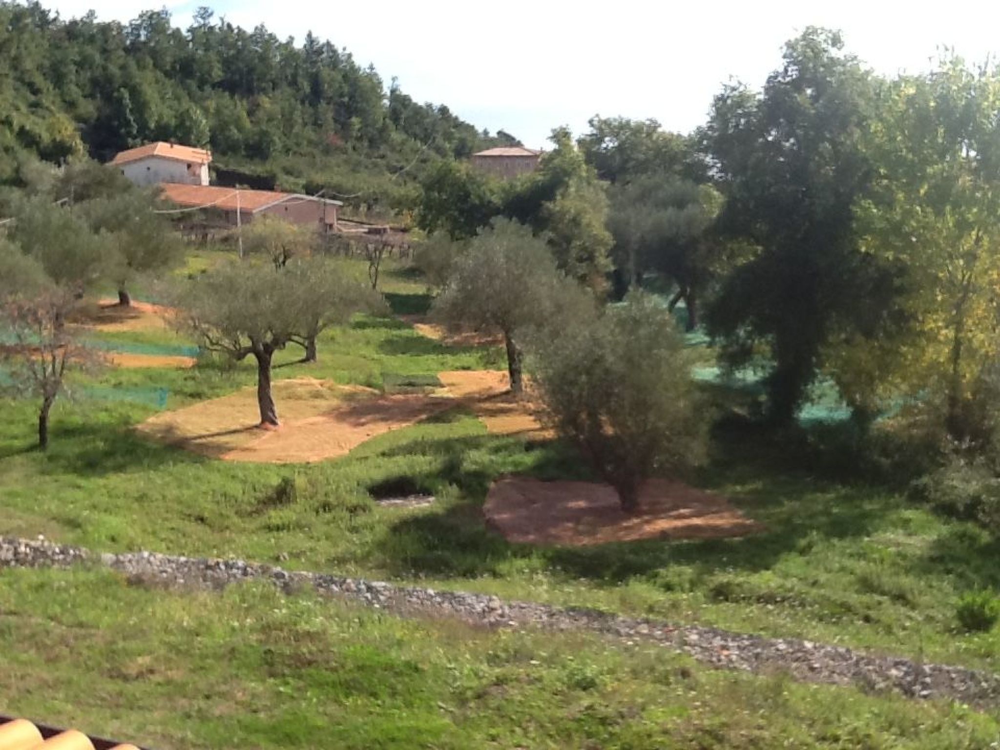 Ferienvilla "Melles" mit privatem Pool-Binnen