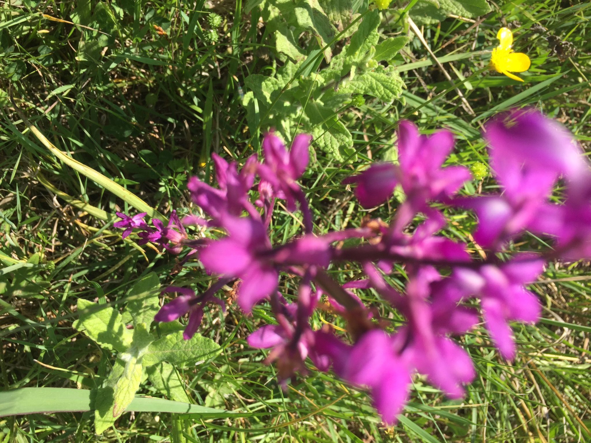 Ferienvilla "Melles" mit privatem Pool-Binnen