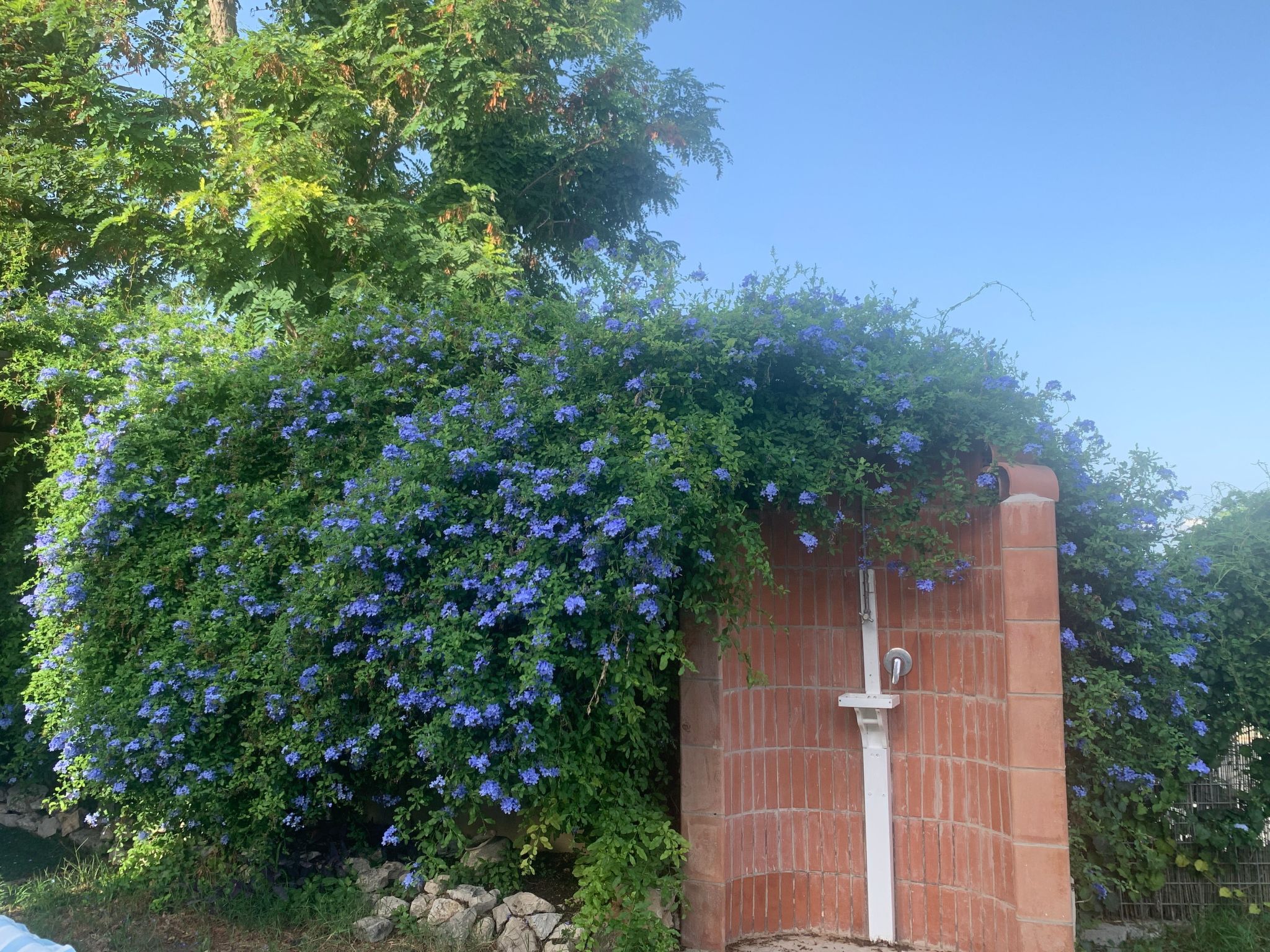 Ferienvilla mit Wasserblick