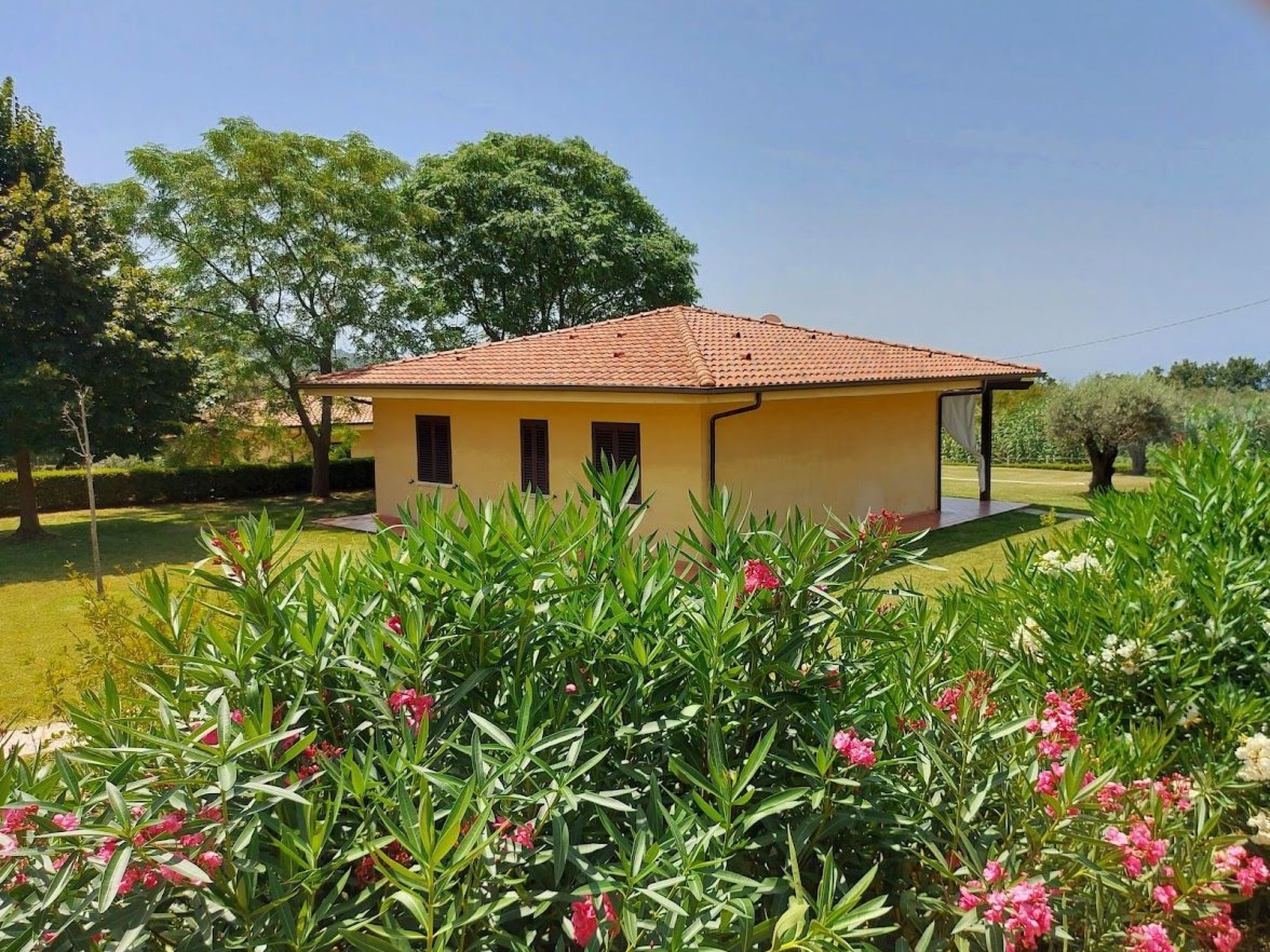 Villa im Grünen mit Schwimmbad und Meerblick-Image-tags.info