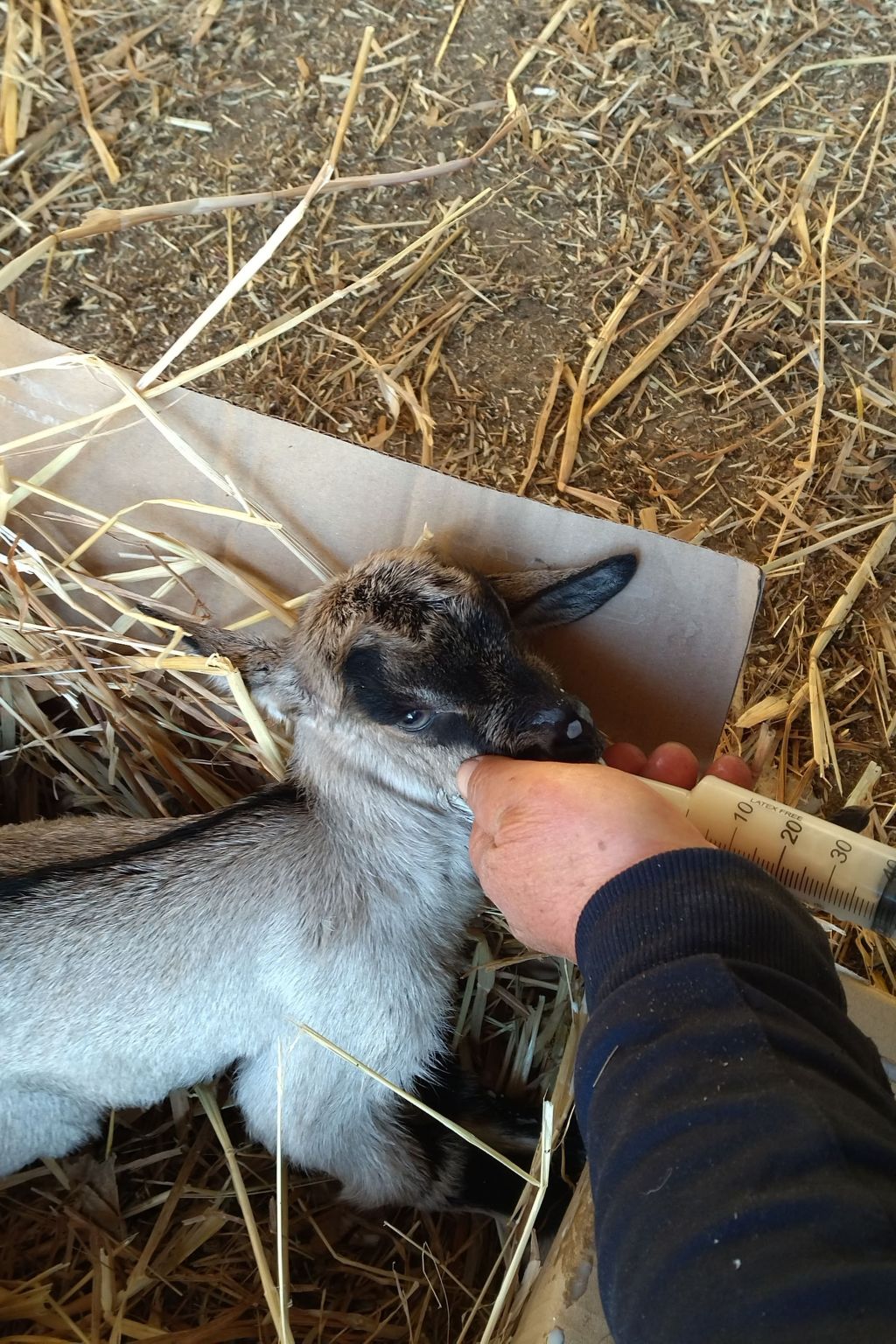 Wohnheim Heaven 53R-Image-tags.info