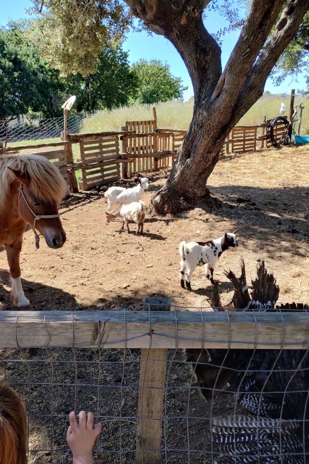 Residenz Heaven 43R-Image-tags.info