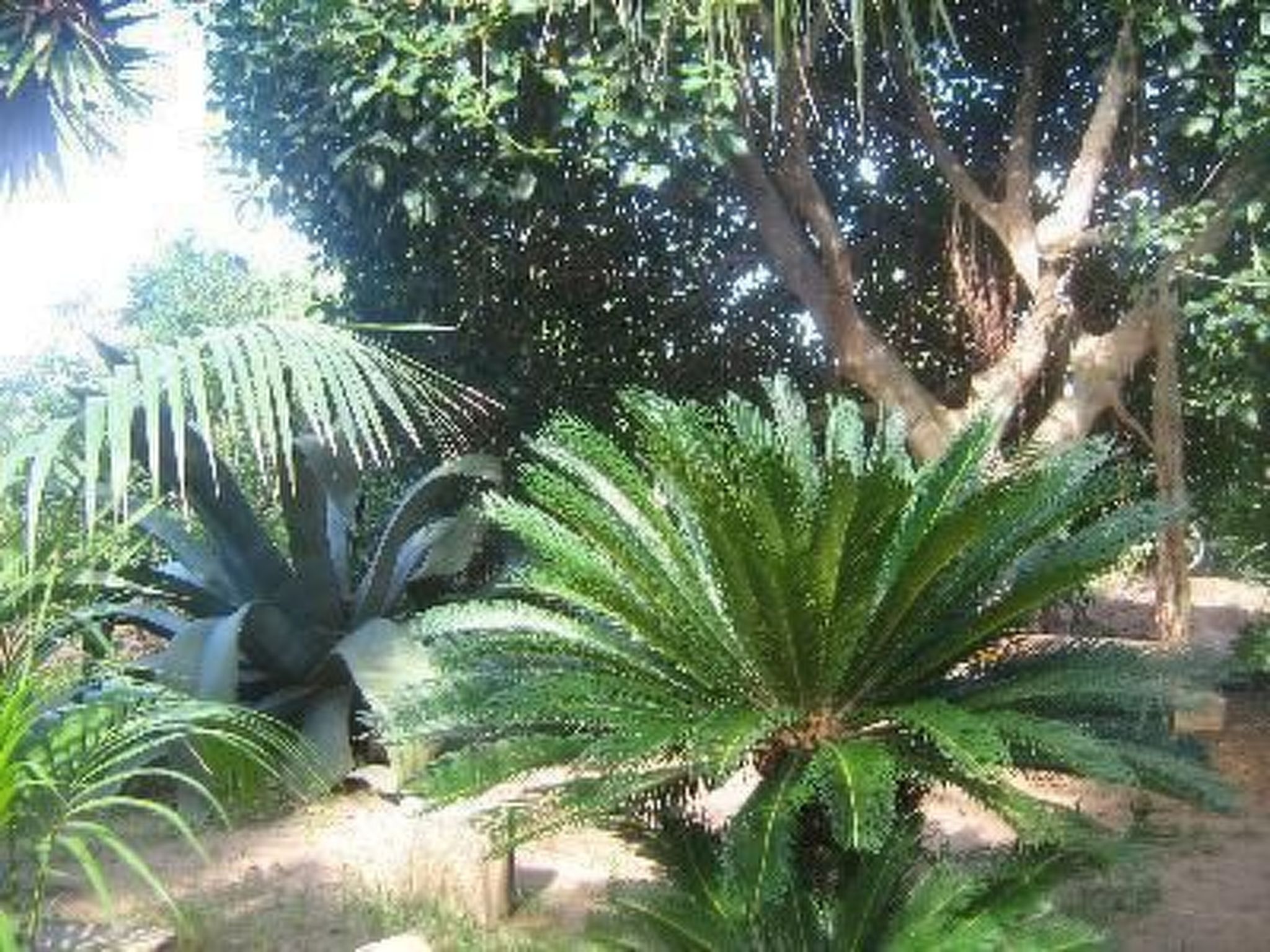 'Villetta Loco-Image-tags.info