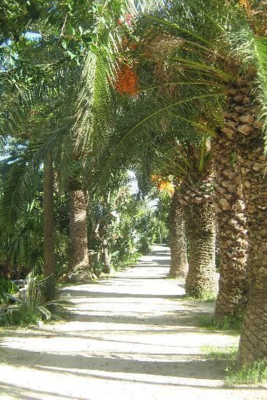 'Villetta Loco-Buiten