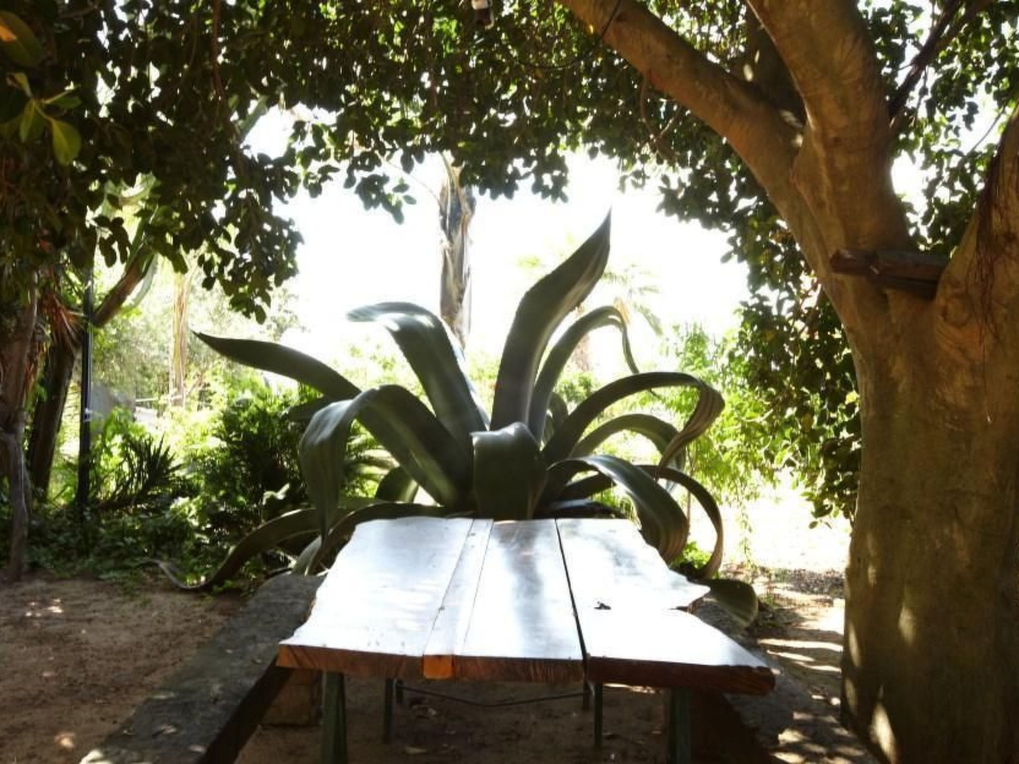 'Villetta Loco-Buiten