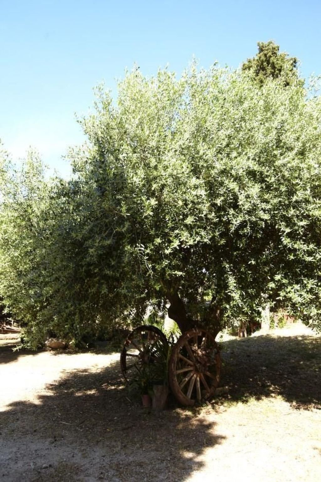 'Villetta Loco-Image-tags.info