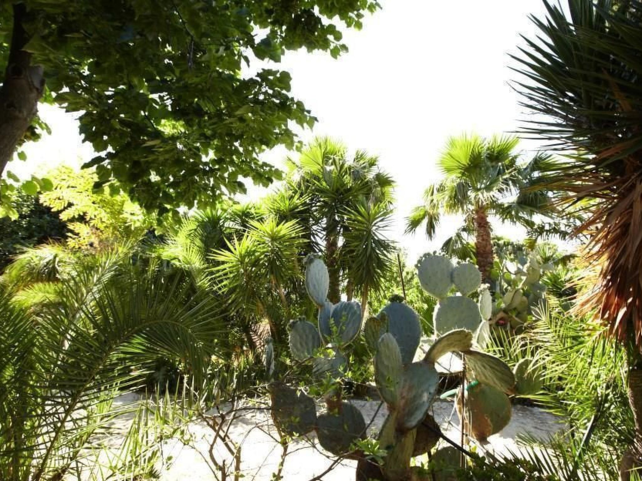 'Villetta Loco-Buiten