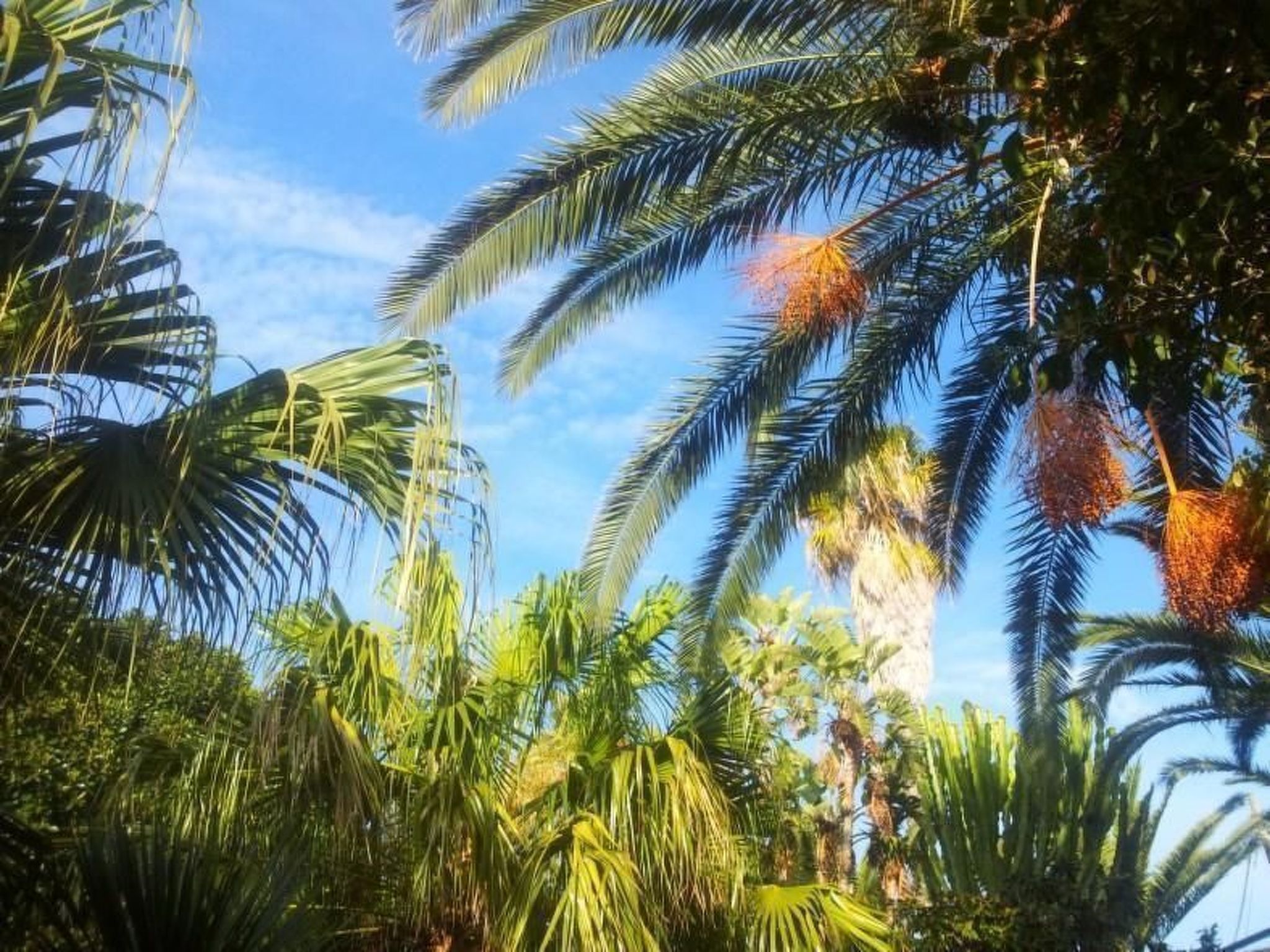 'Villetta Loco-Buiten