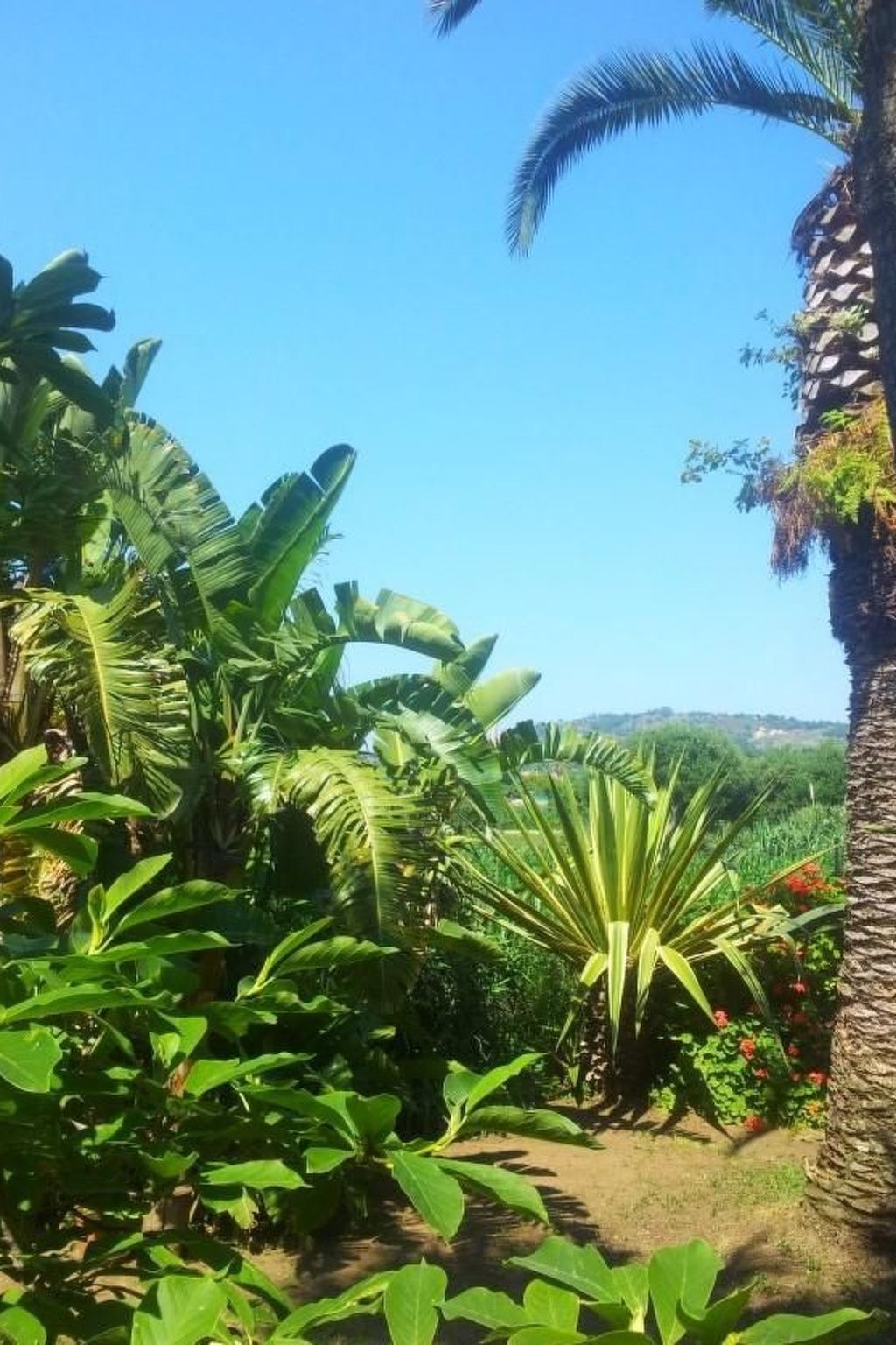 'Villetta Sara-Image-tags.info