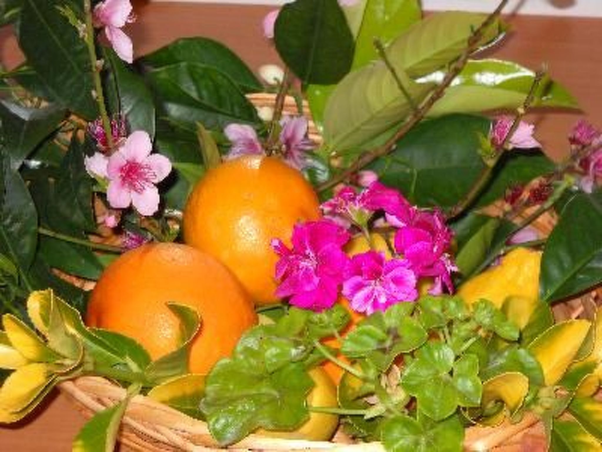 'Roberta-Image-tags.info