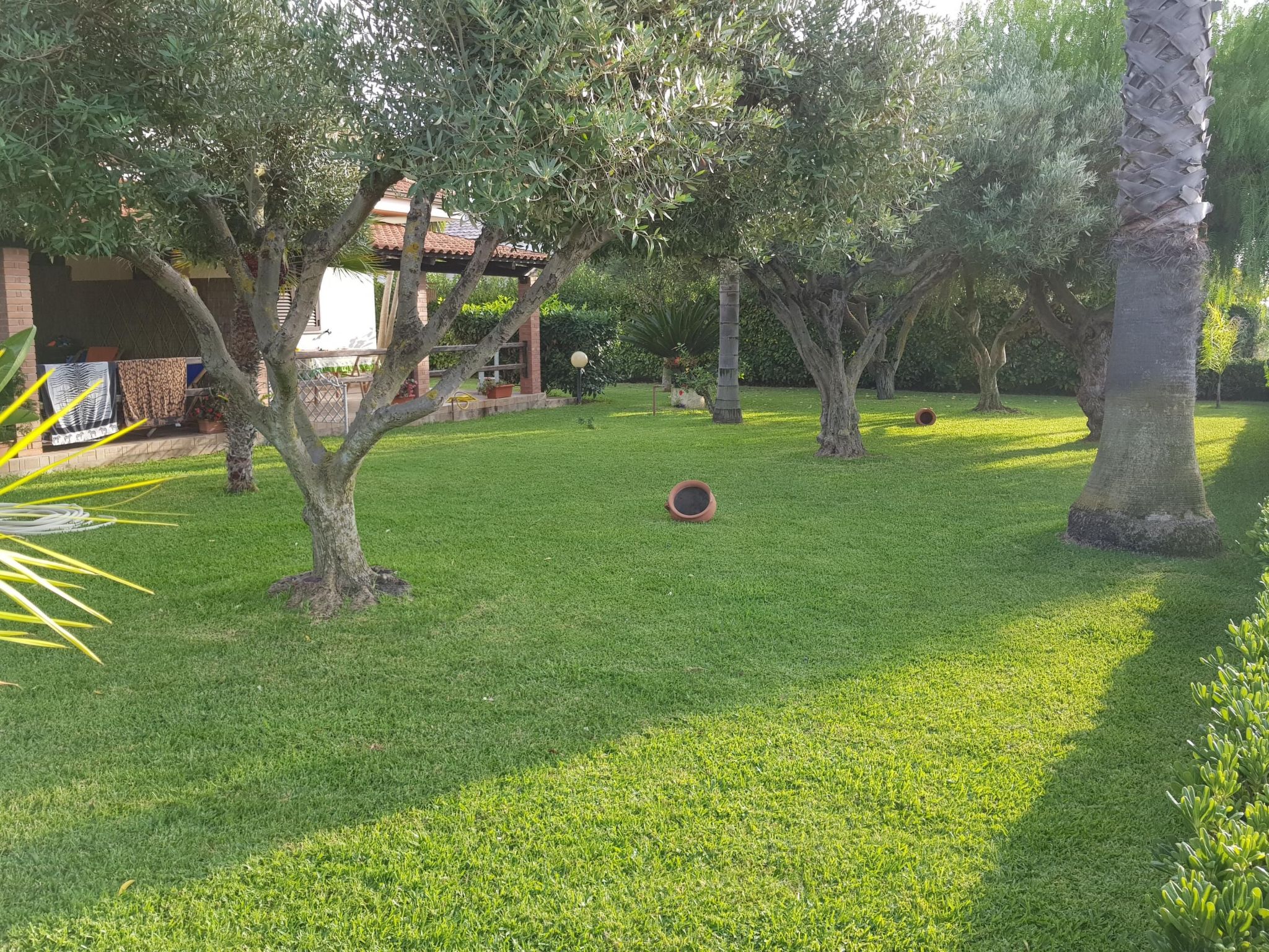 'Roberta-Image-tags.info