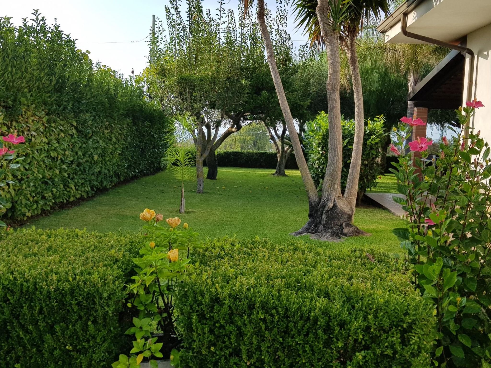 'Roberta-Image-tags.info