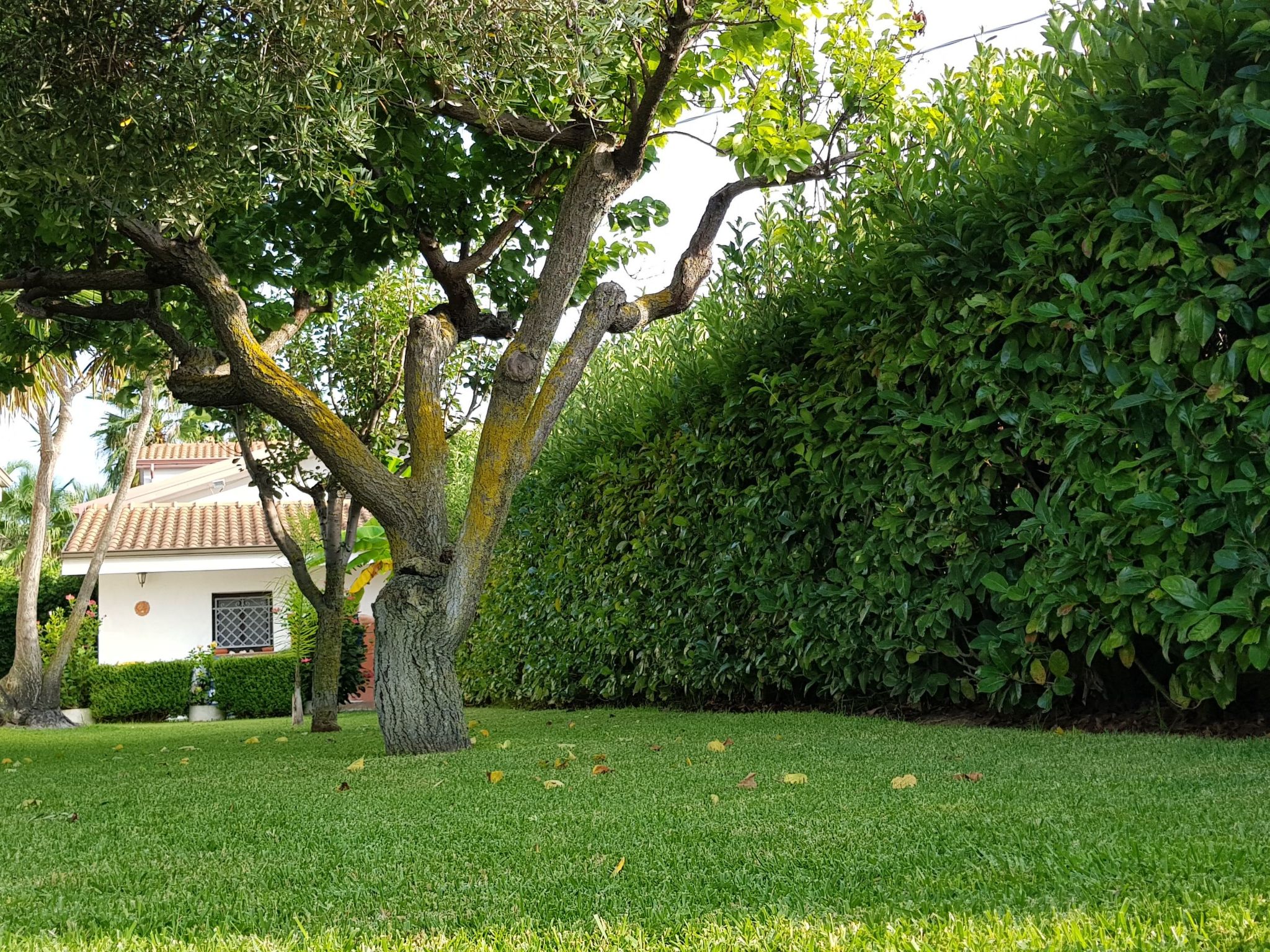 Wohnung 'Ilaria-Image-tags.info