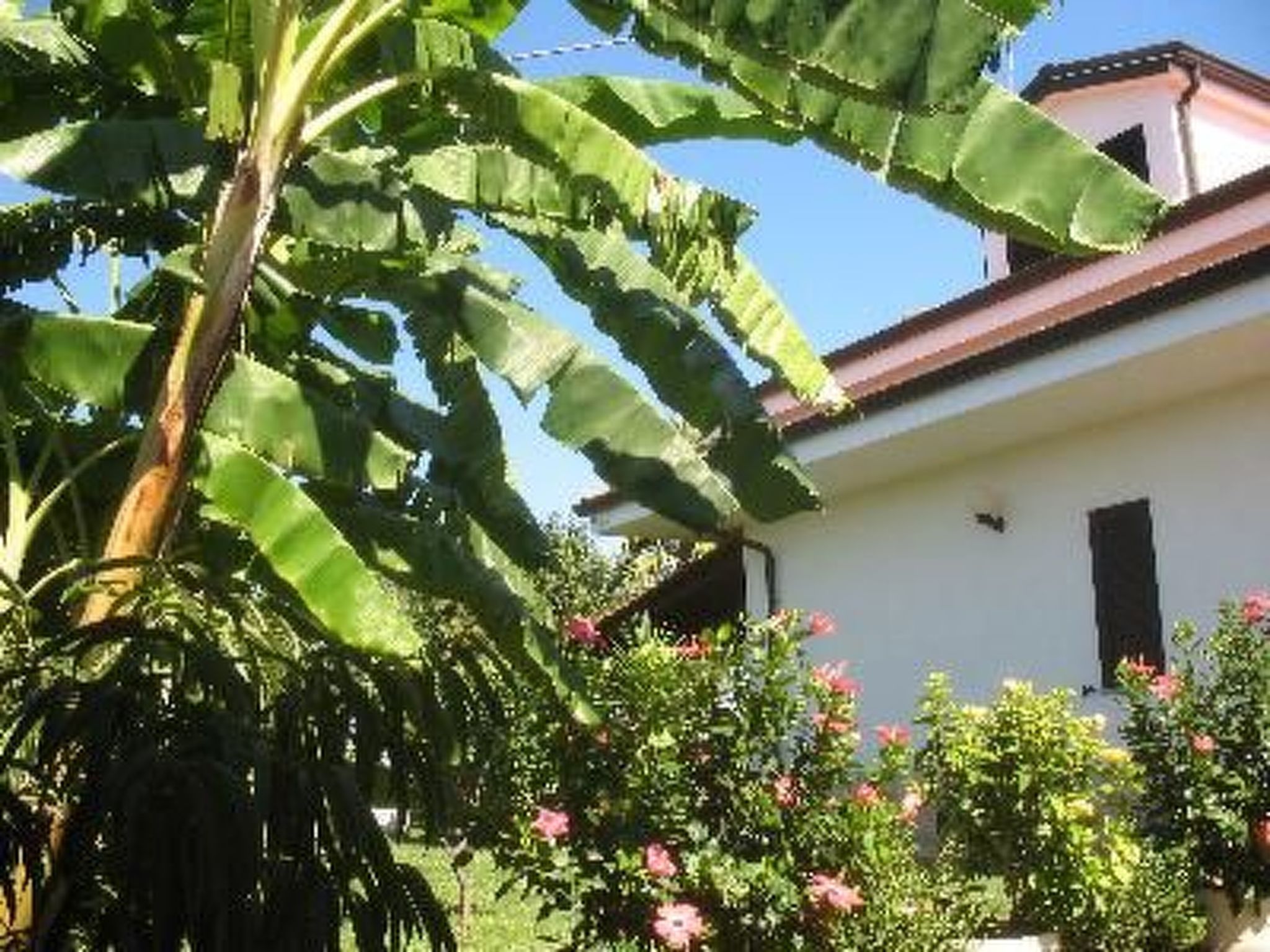 Wohnung 'Ilaria-Image-tags.info