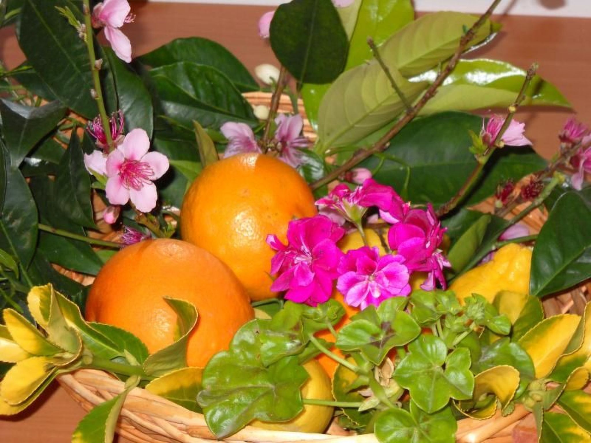 Wohnung 'Ilaria-Image-tags.info