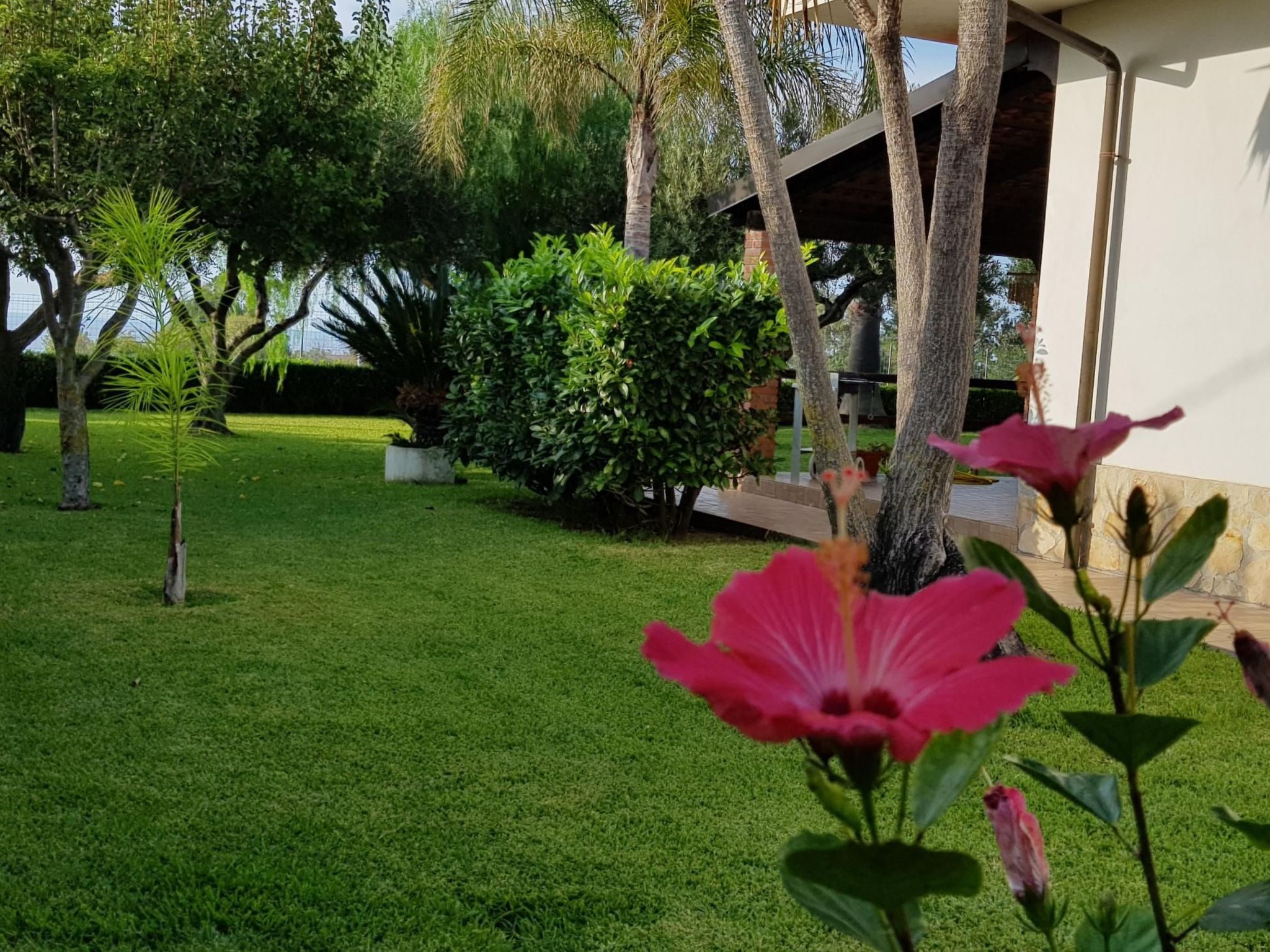 Wohnung 'Ilaria-Image-tags.info