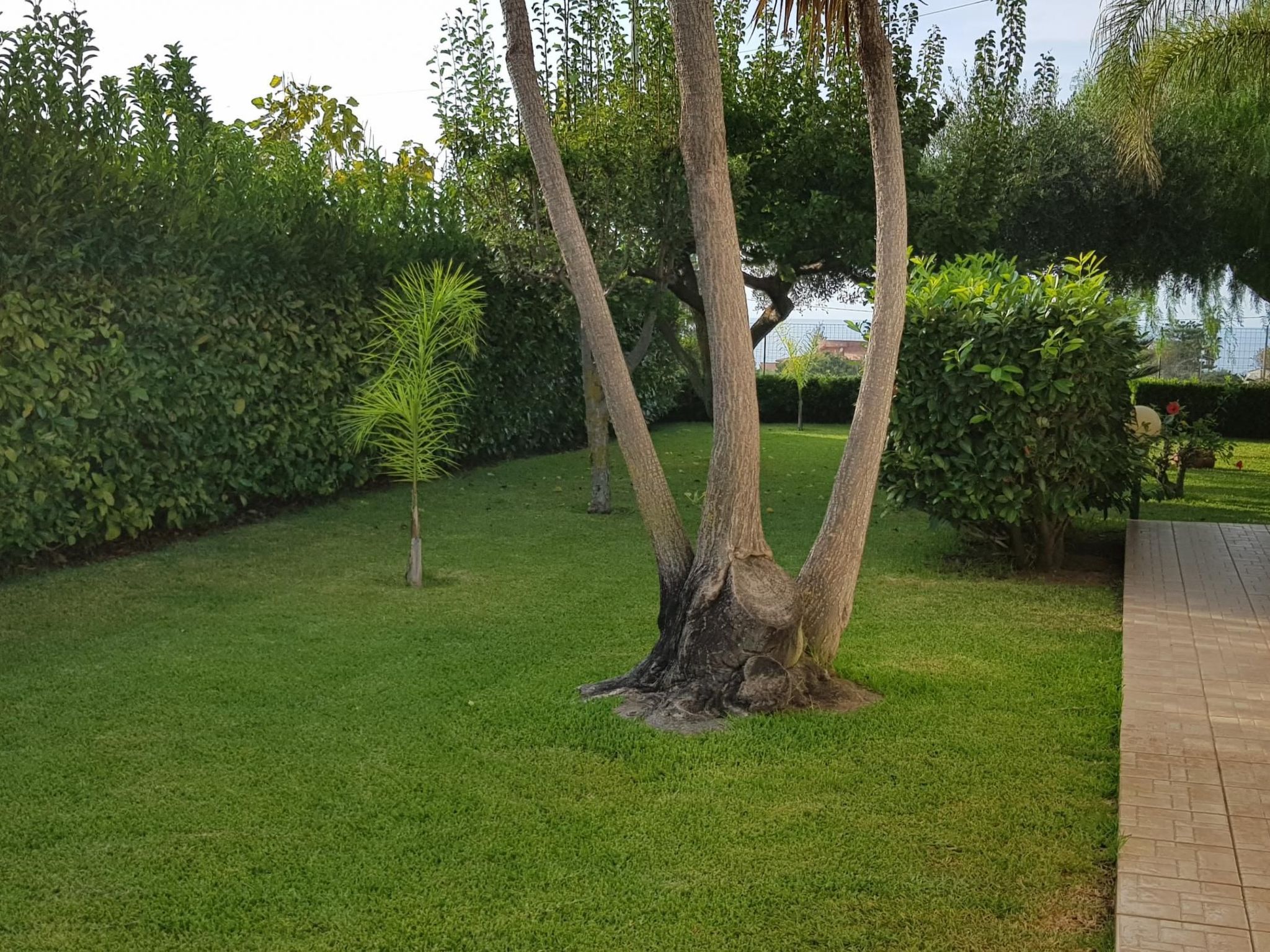 Wohnung 'Ilaria-Image-tags.info