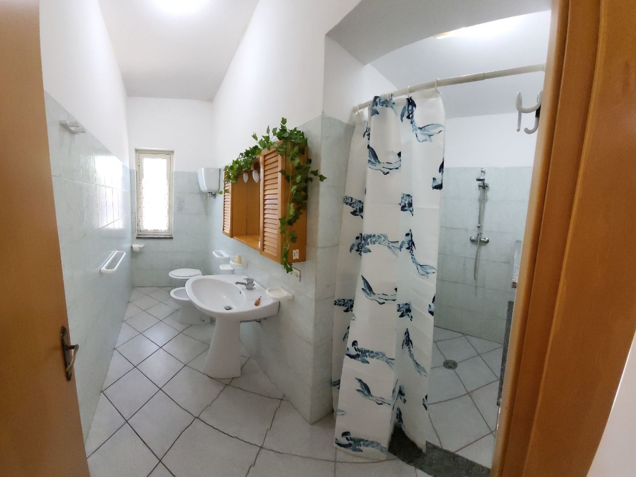 Graziella Wohnung in Capo Vaticano-Image-tags.info