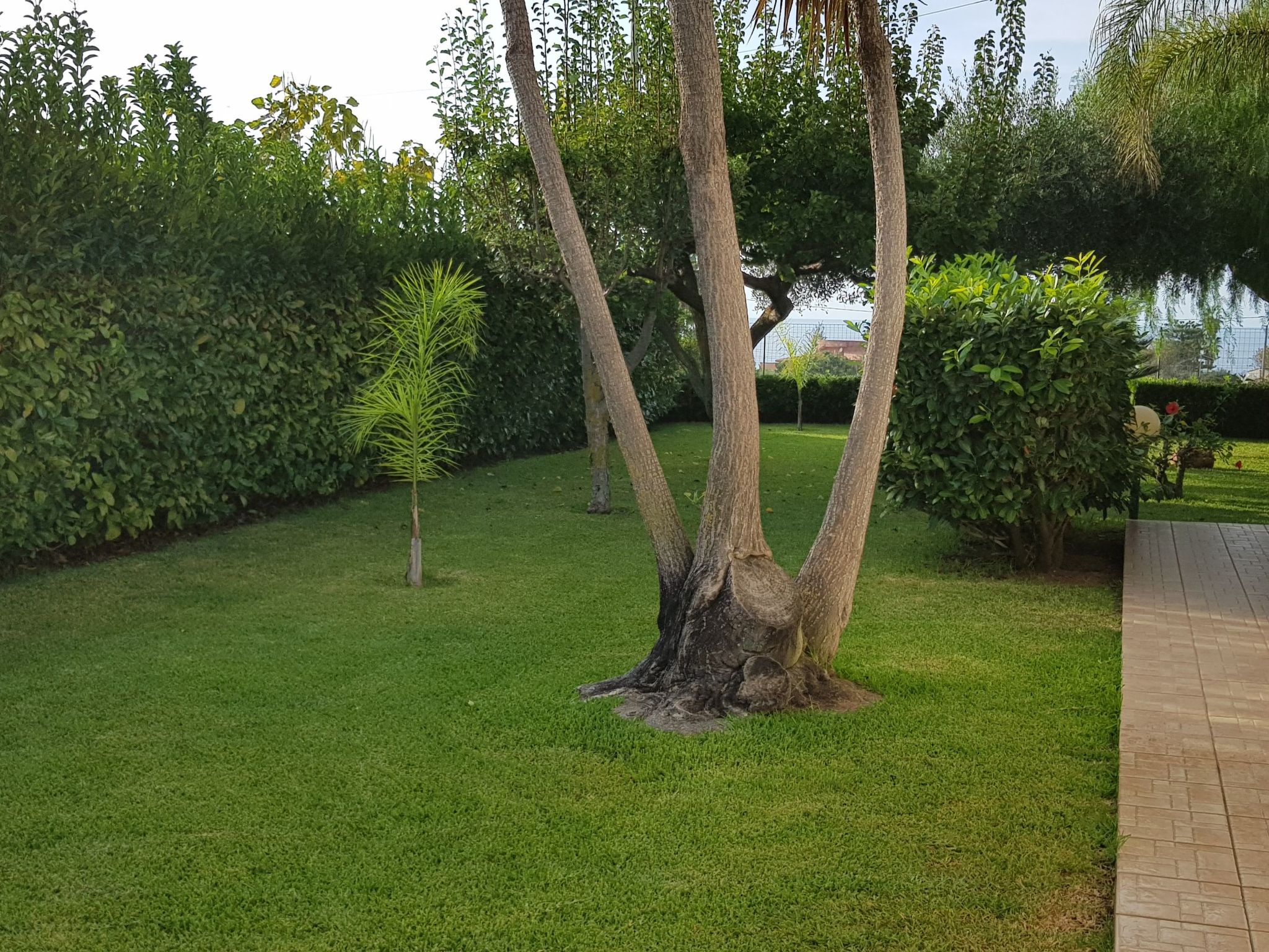 Graziella Wohnung in Capo Vaticano-Image-tags.info