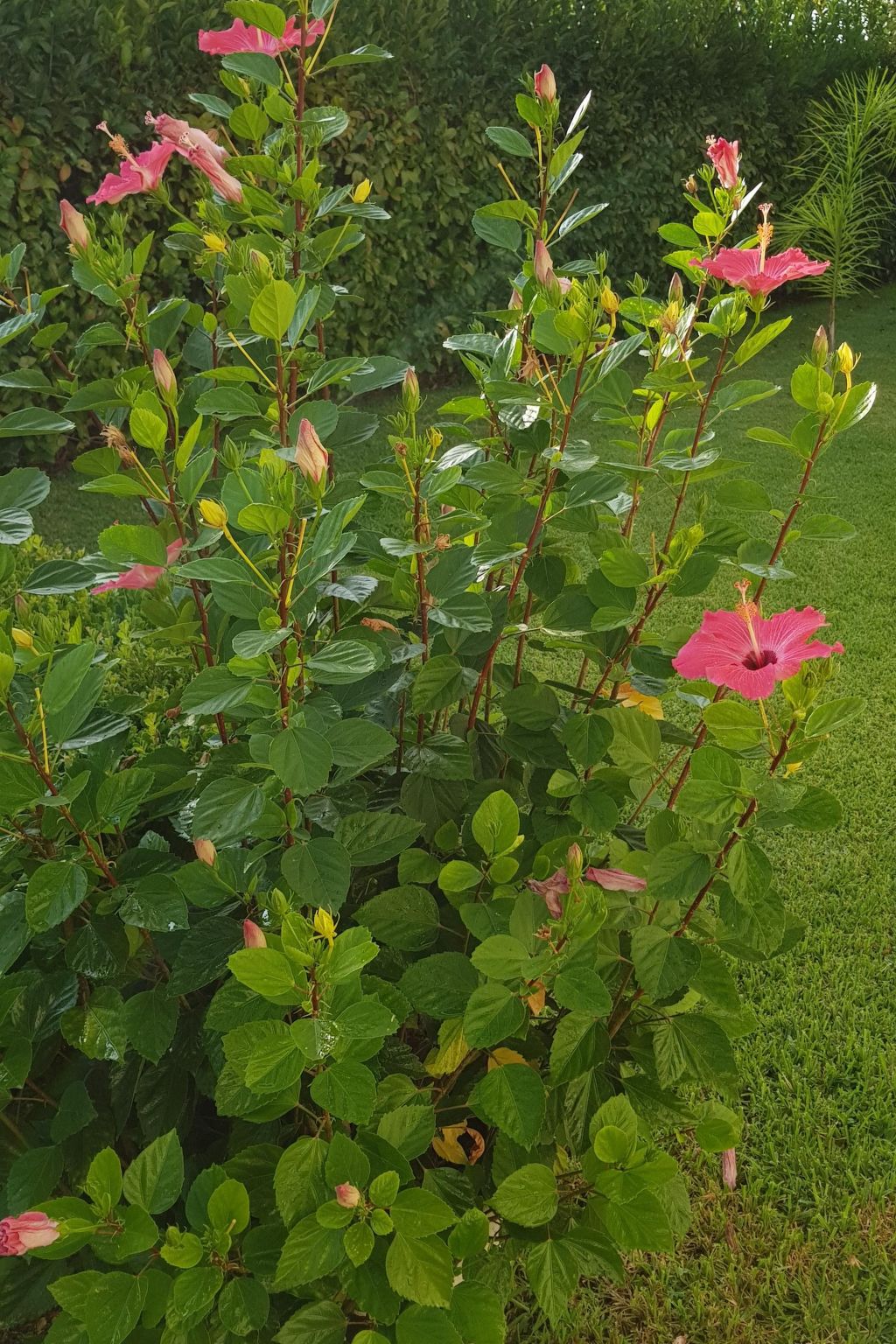 Graziella Wohnung in Capo Vaticano-Image-tags.info