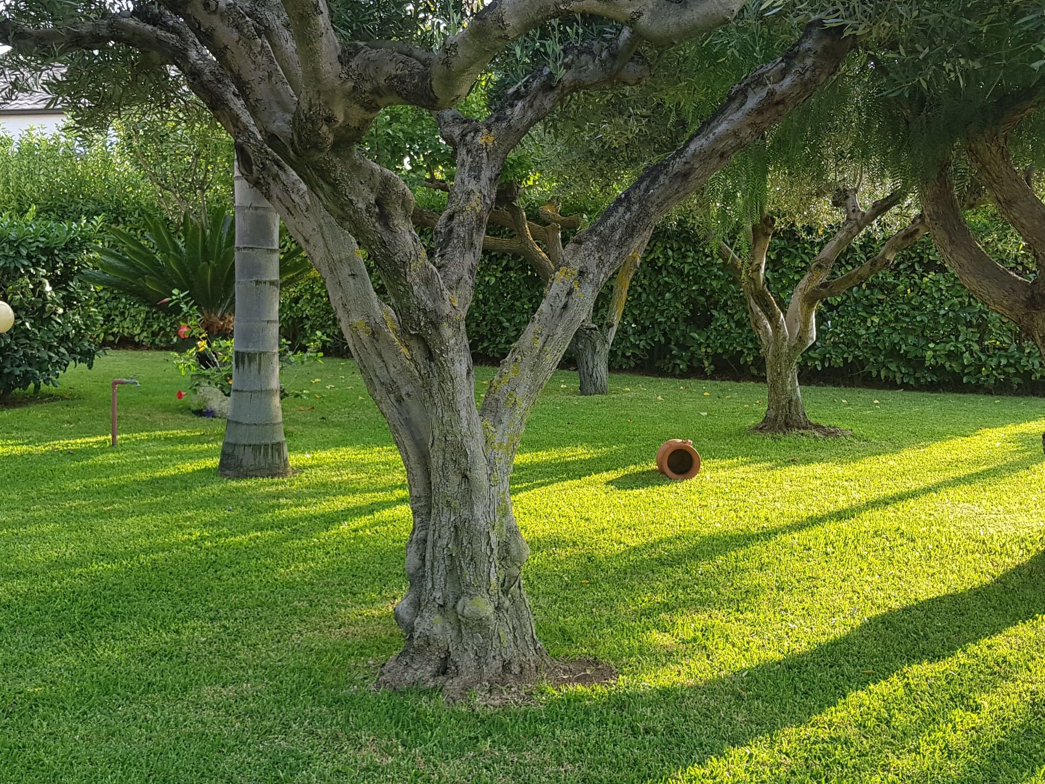 Graziella Wohnung in Capo Vaticano-Image-tags.info