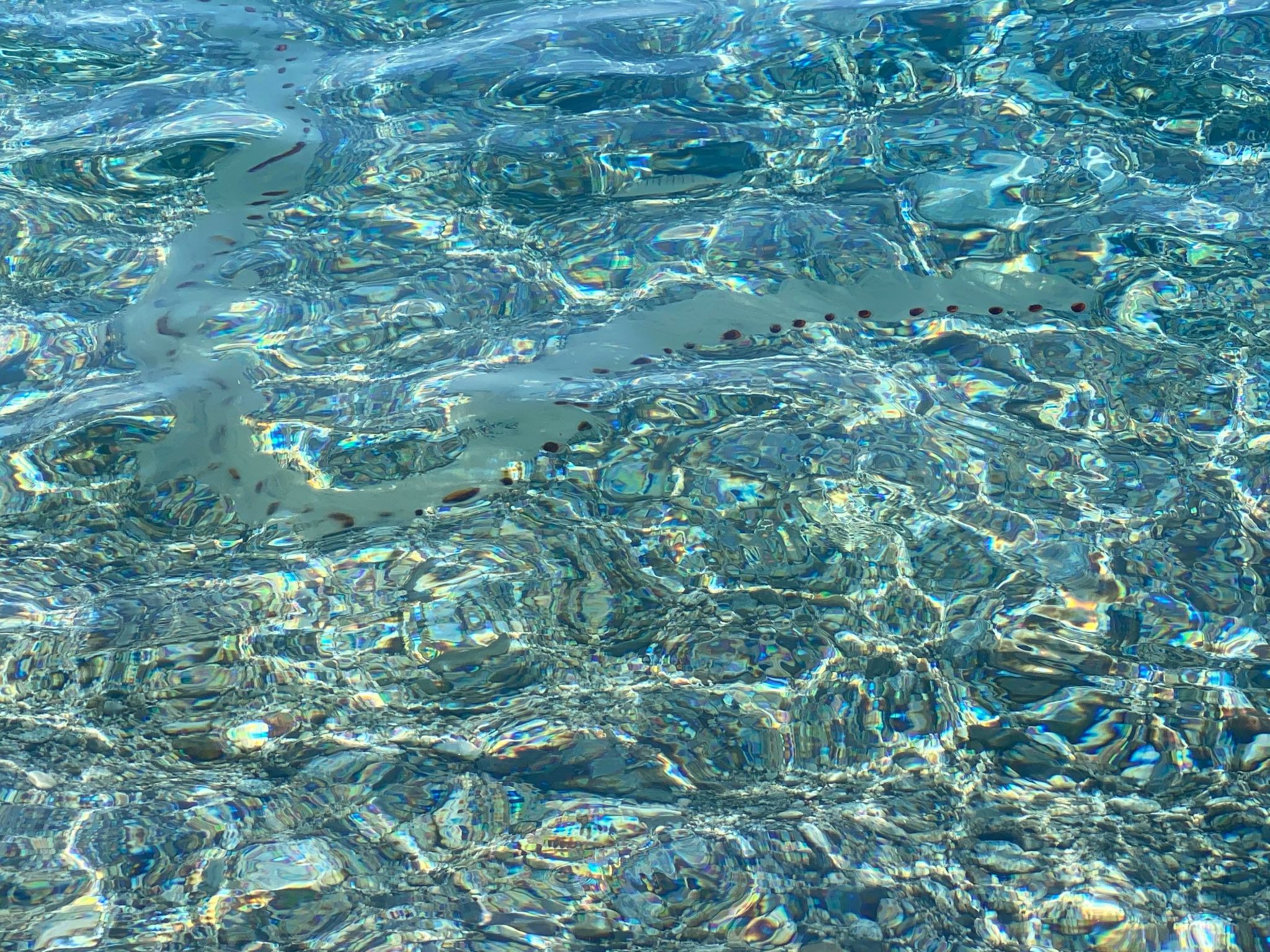 In Badolato Marina-Buiten