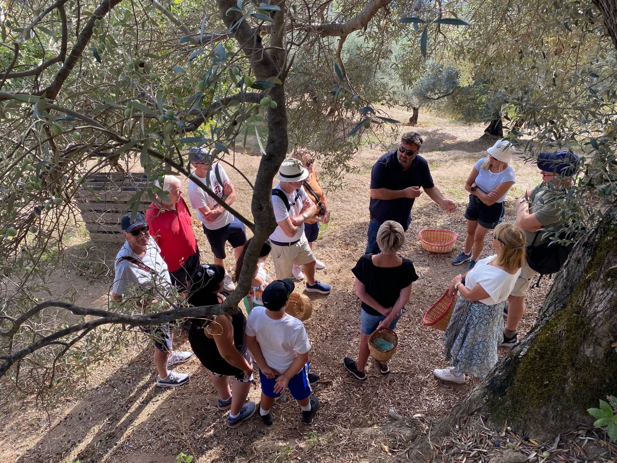Geräumige Artemide-Wohnung mit Terrasse-Image-tags.info