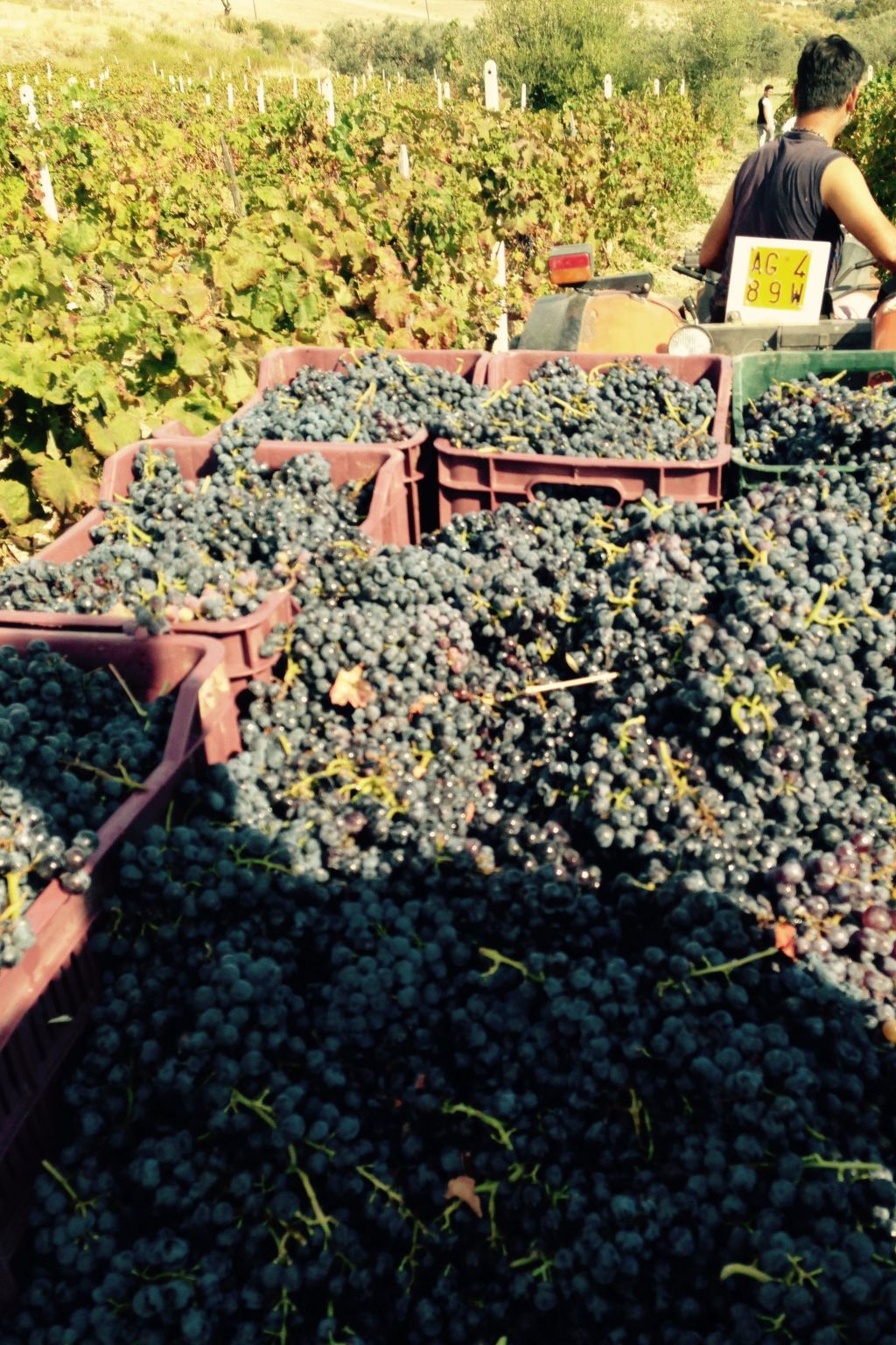 Tiche' Wohnung mit Wasserblick-Binnen