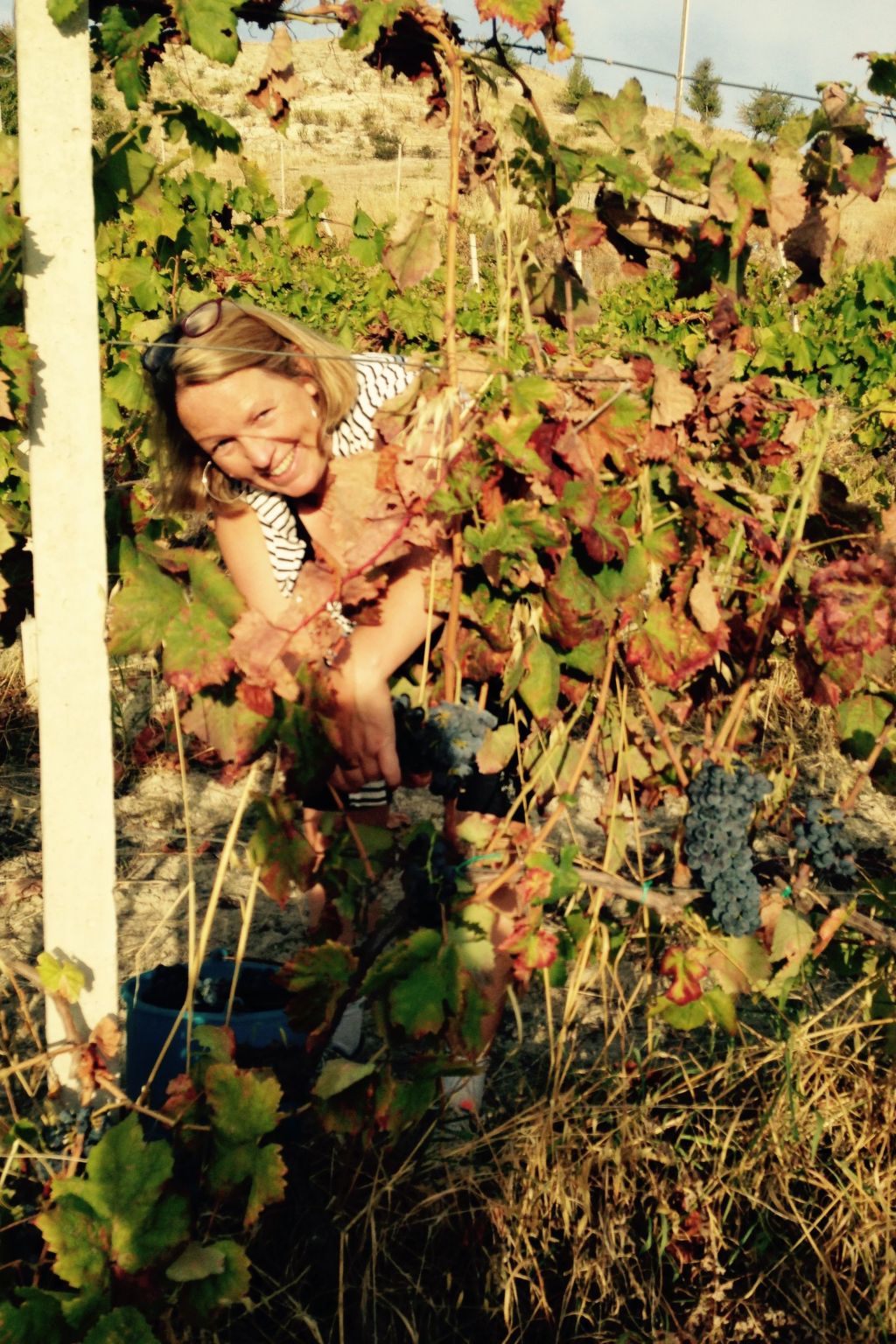 Tiche' Wohnung mit Wasserblick-Binnen
