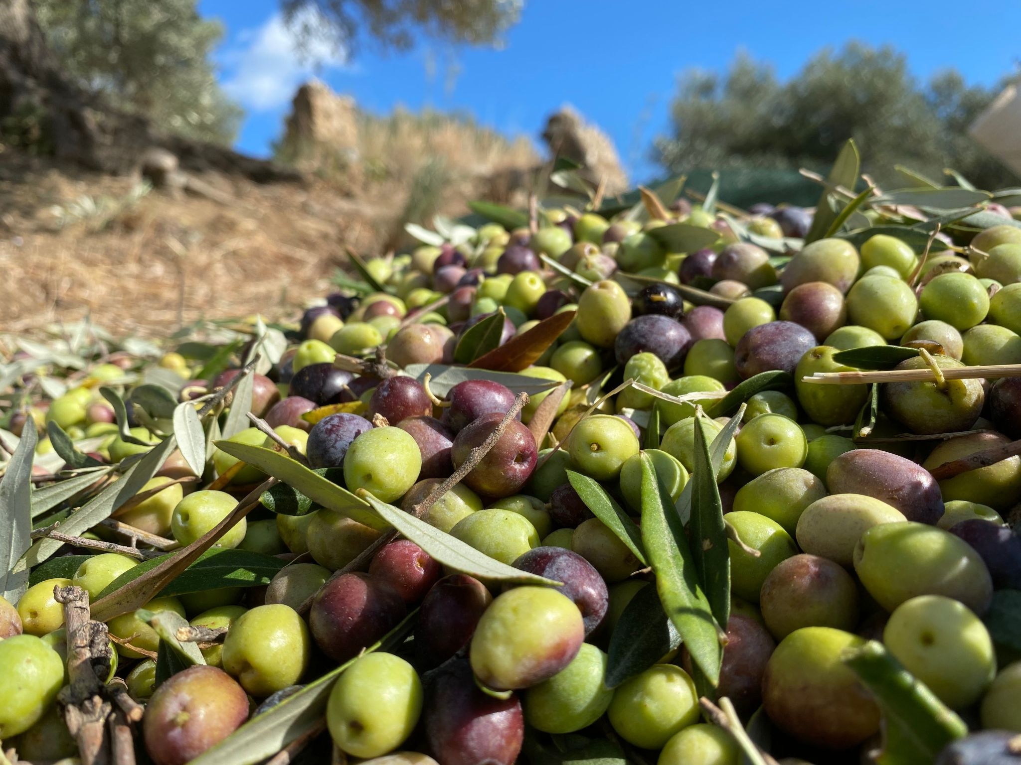Tiche' Wohnung mit Wasserblick-Binnen