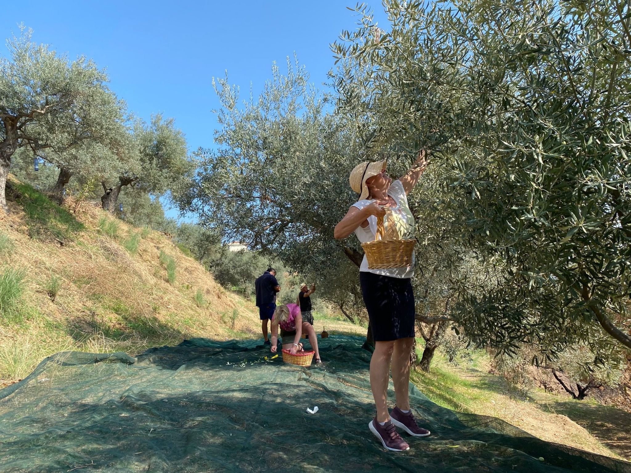 Tiche' Wohnung mit Wasserblick-Binnen