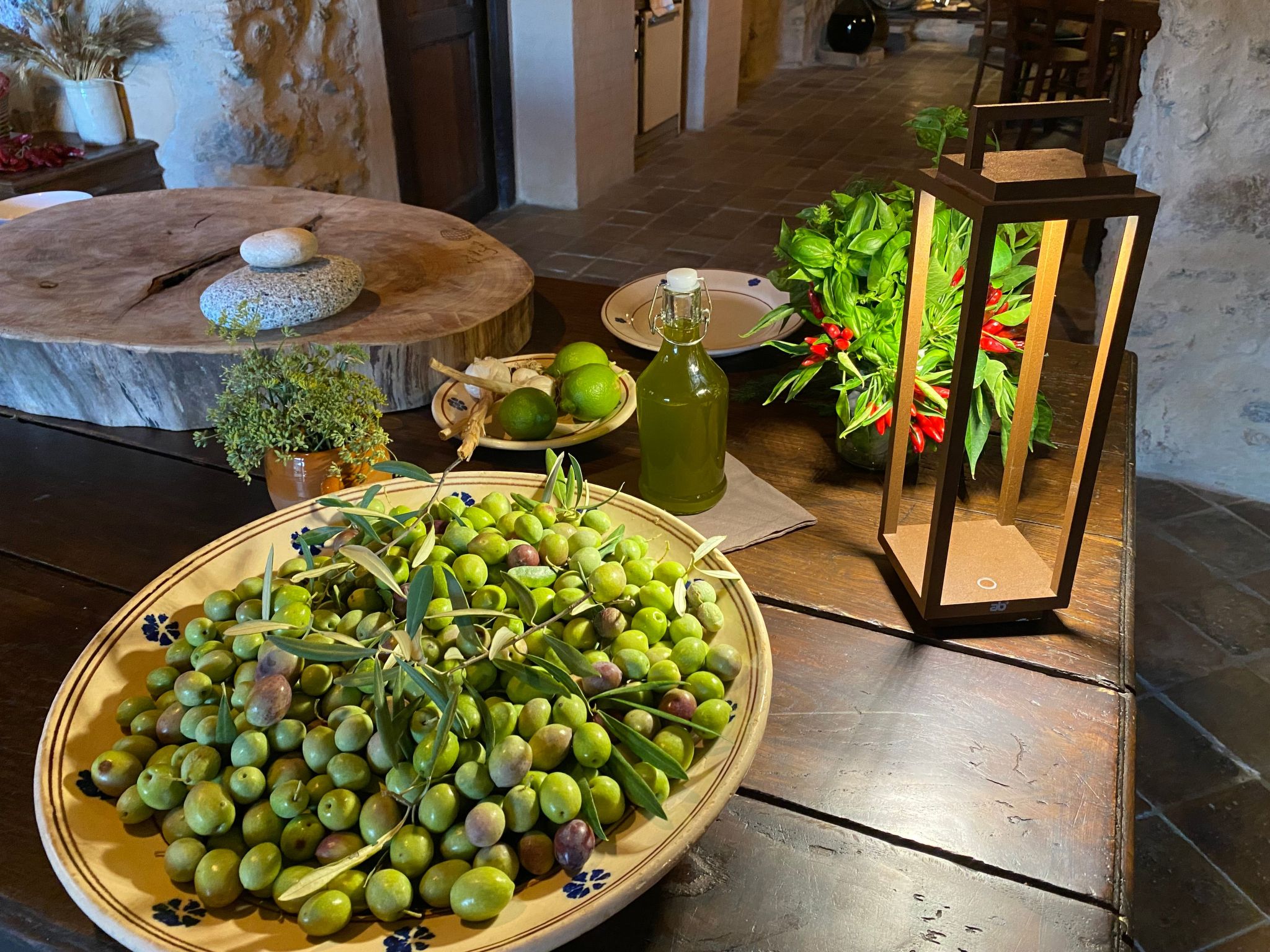 Wohnung Haus Aphrodite-Binnen