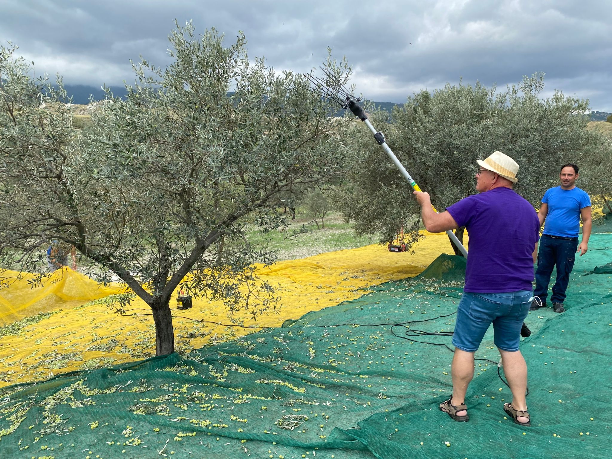 Wohnung Haus Aphrodite-Binnen