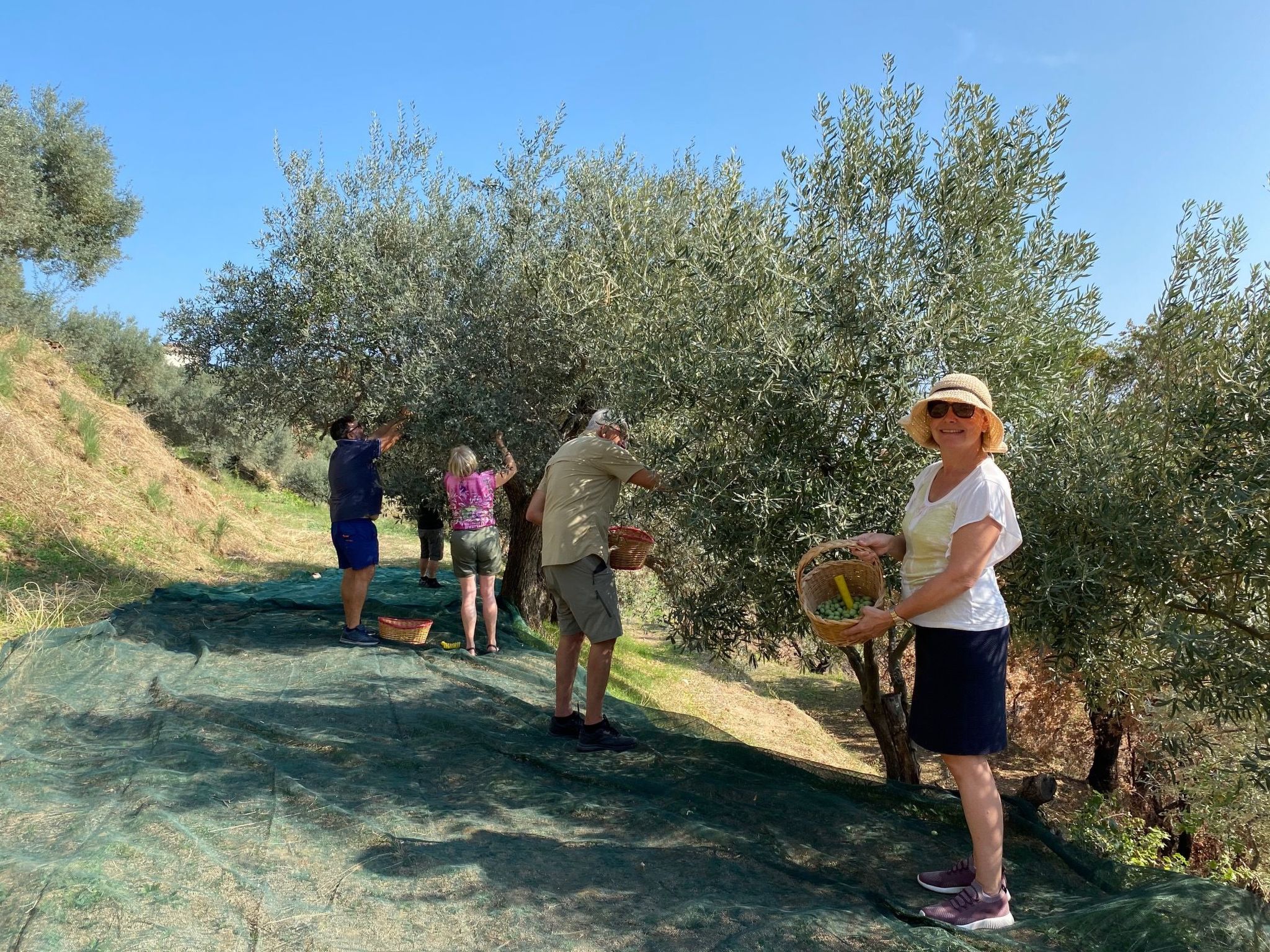 Wohnung Haus Aphrodite-Binnen