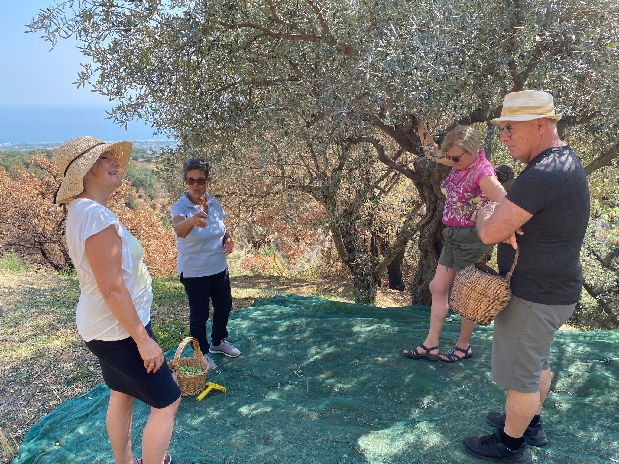 Wohnung Haus Aphrodite-Binnen