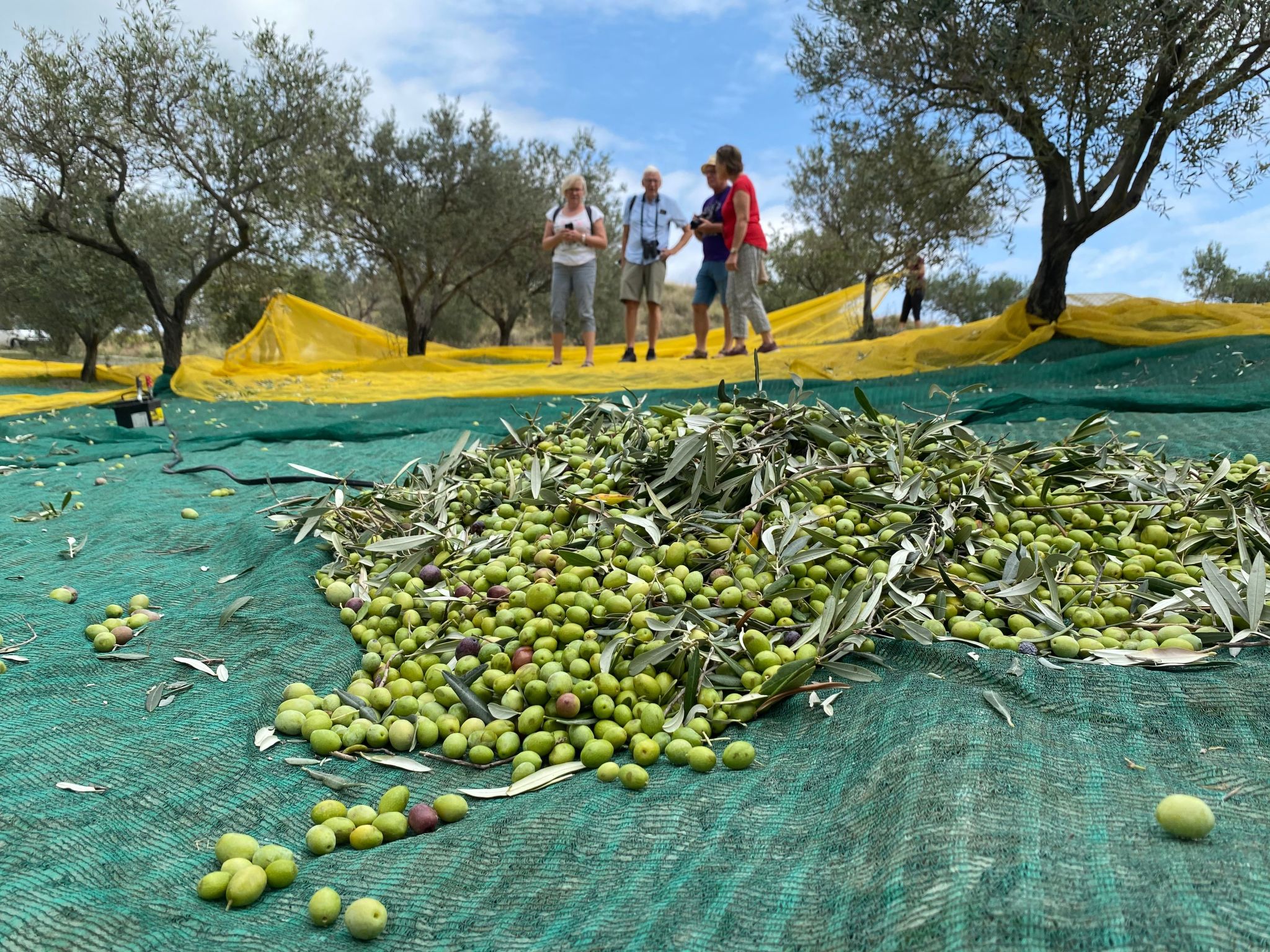 Wohnung Haus Aphrodite-Binnen