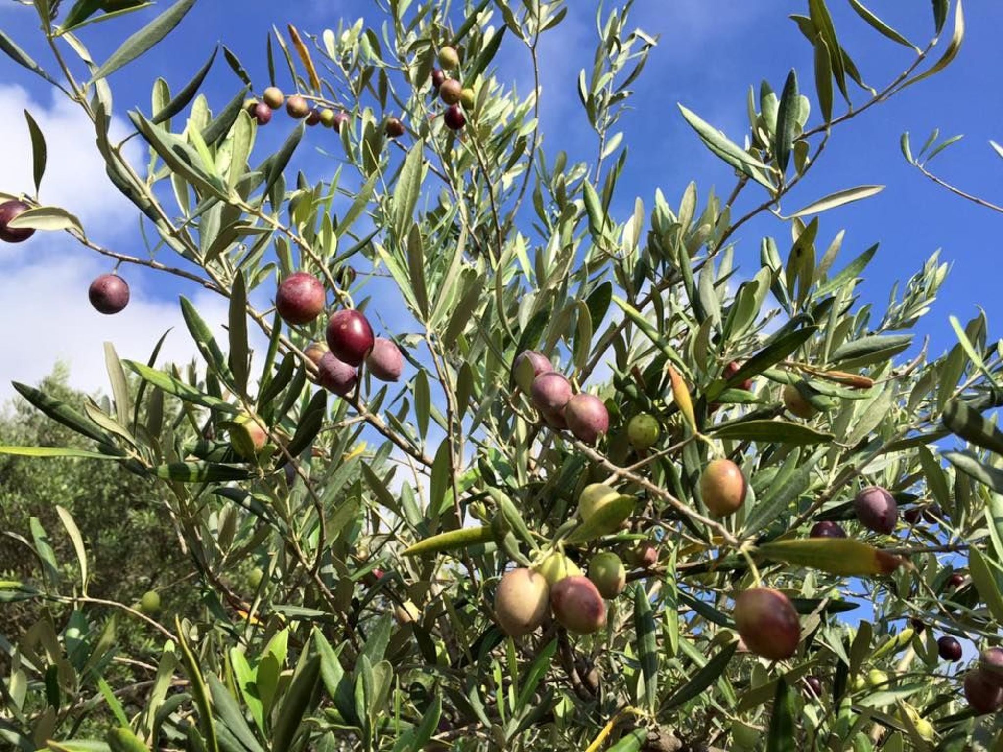 Casa Eos-Image-tags.info