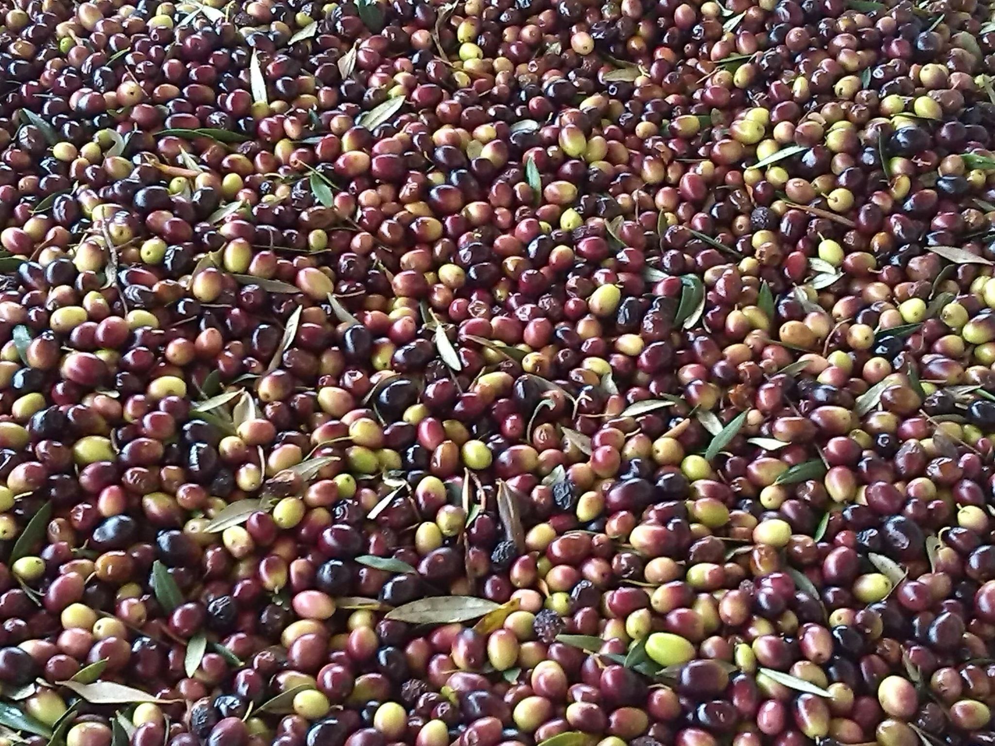 Casa Eos-Image-tags.info