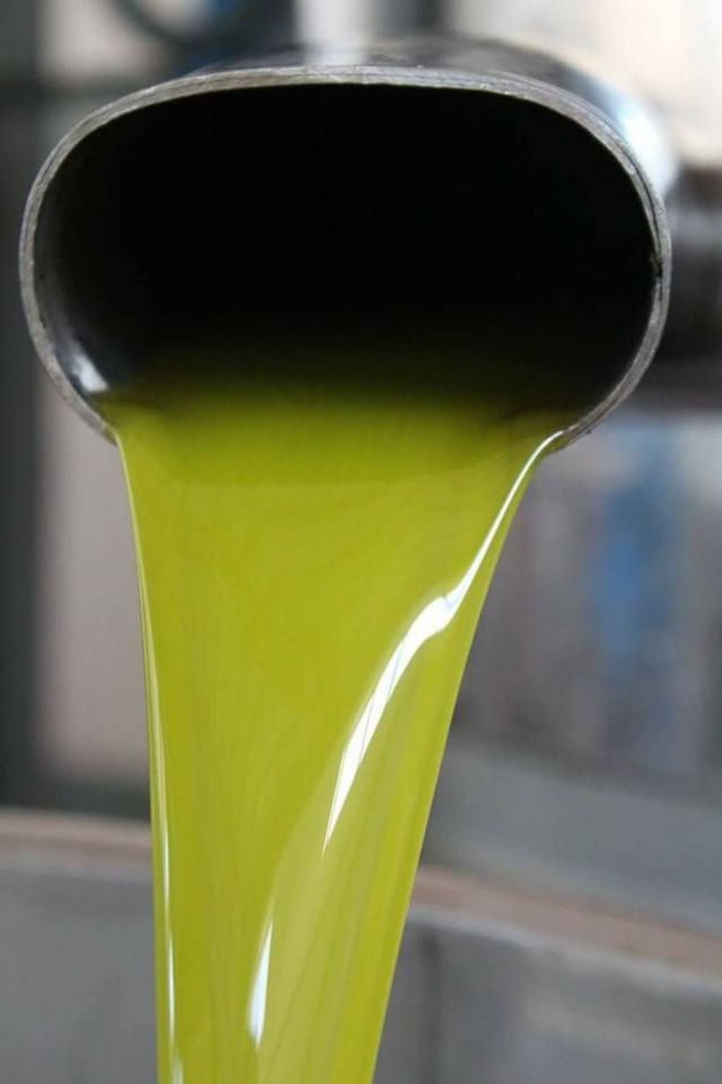 Casa Eos-Image-tags.info