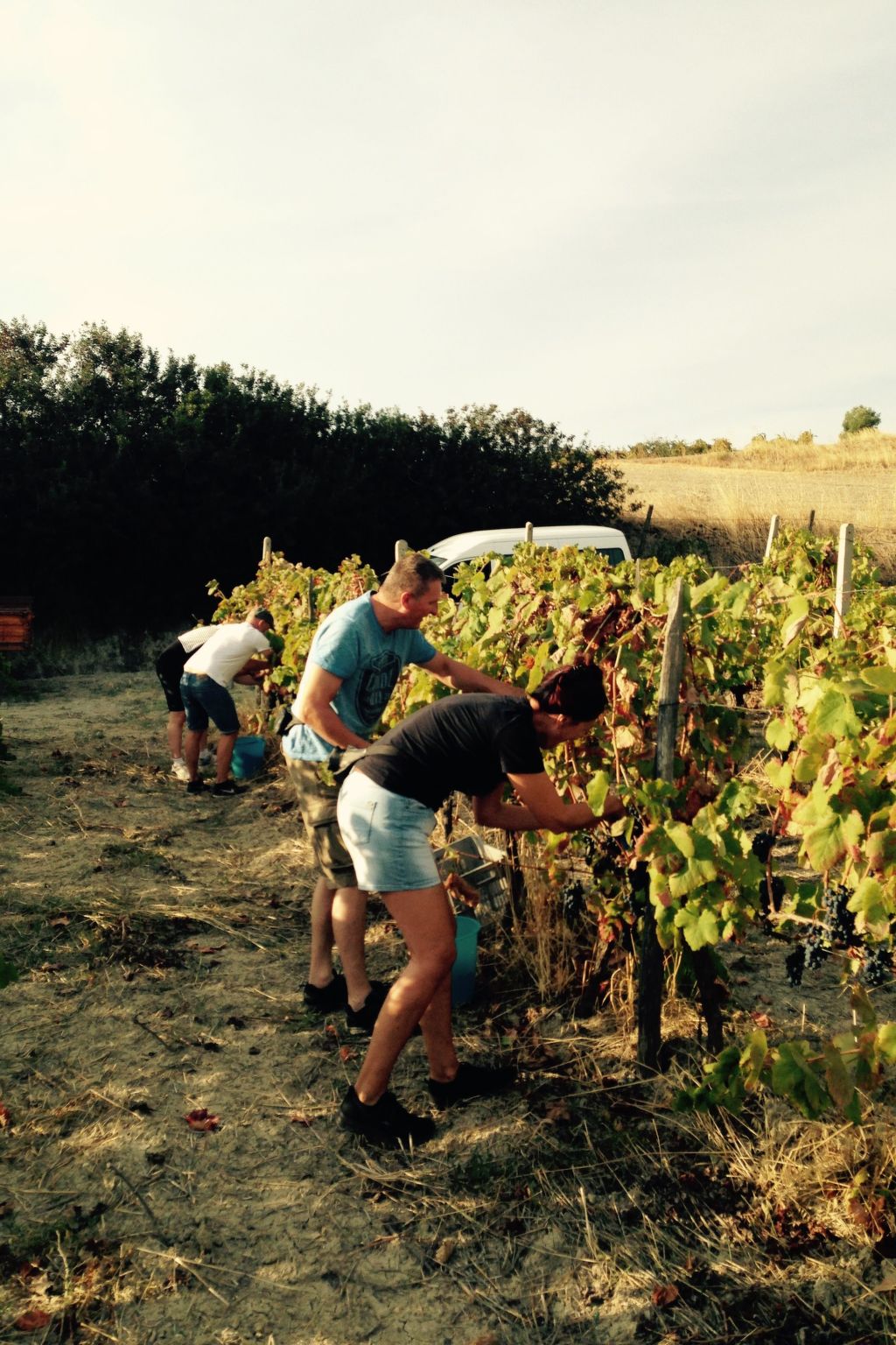 Casa Eos-Image-tags.info