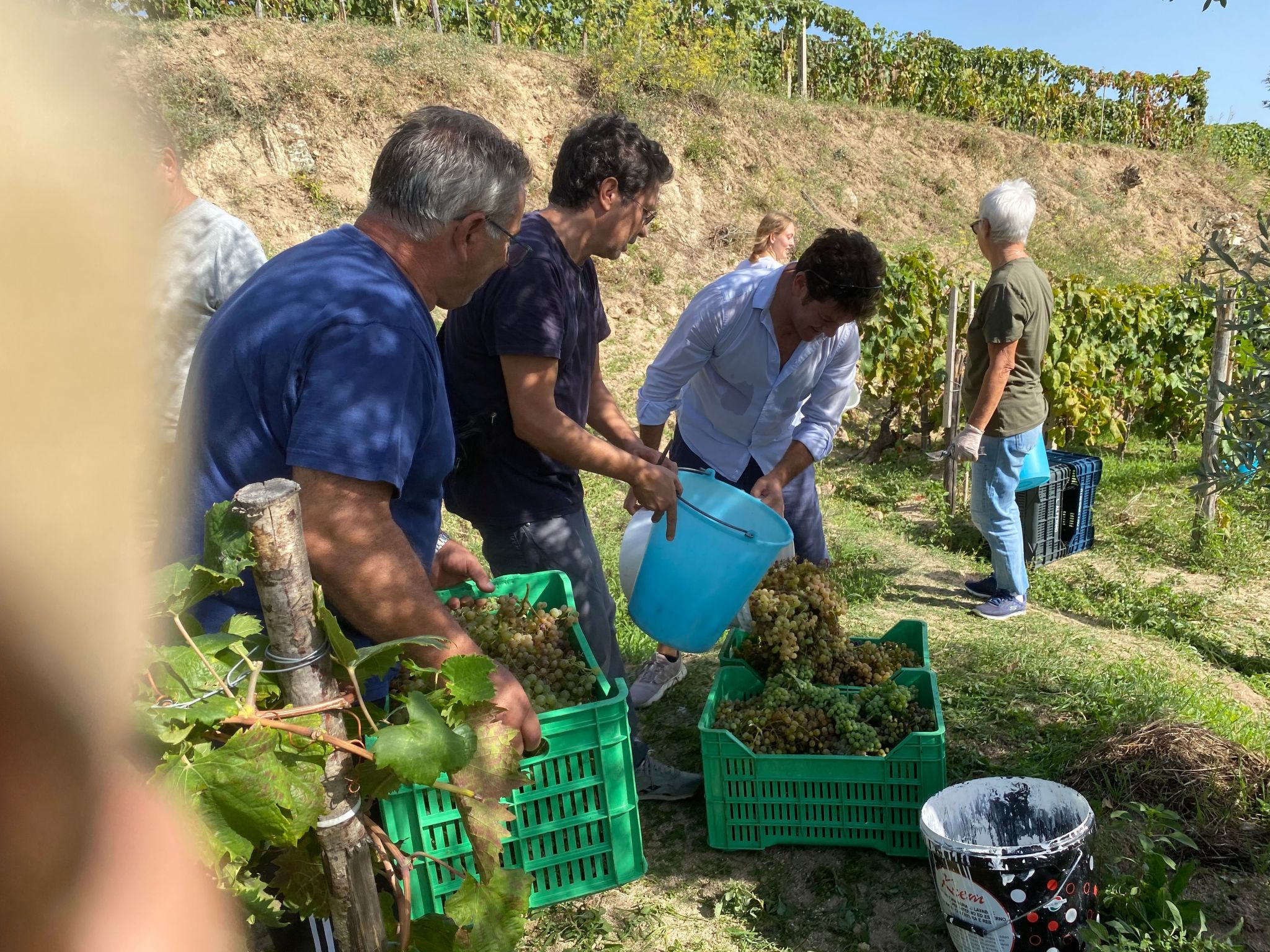 Casa Eos-Image-tags.info