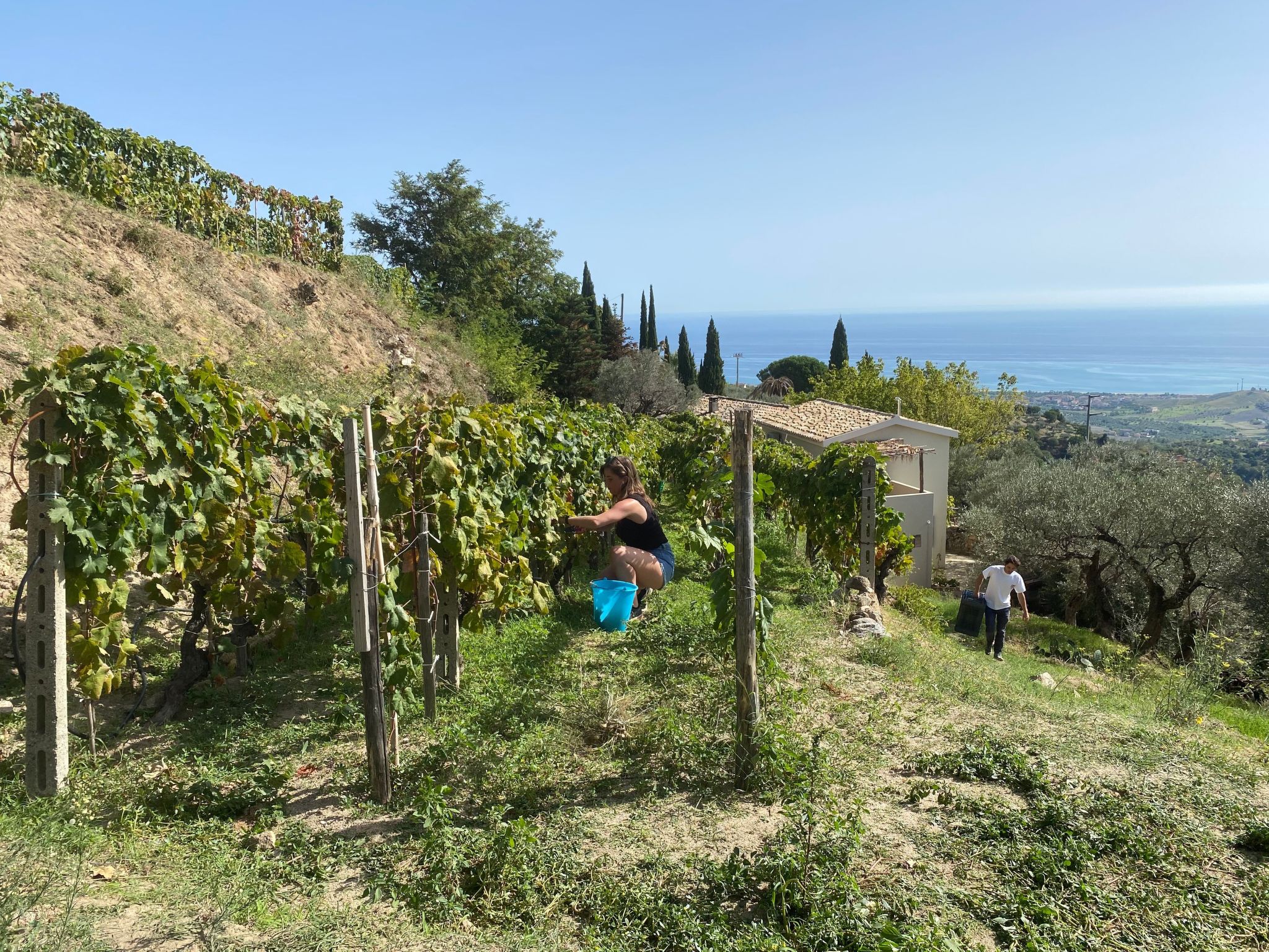 Casa Eos-Image-tags.info