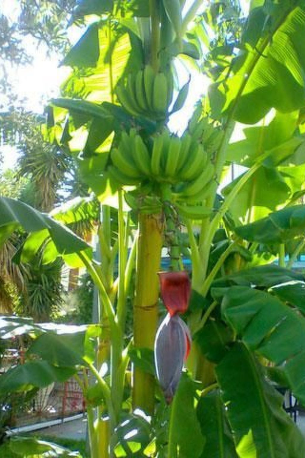 'Cubicula' mit Privatparkplatz-Binnen