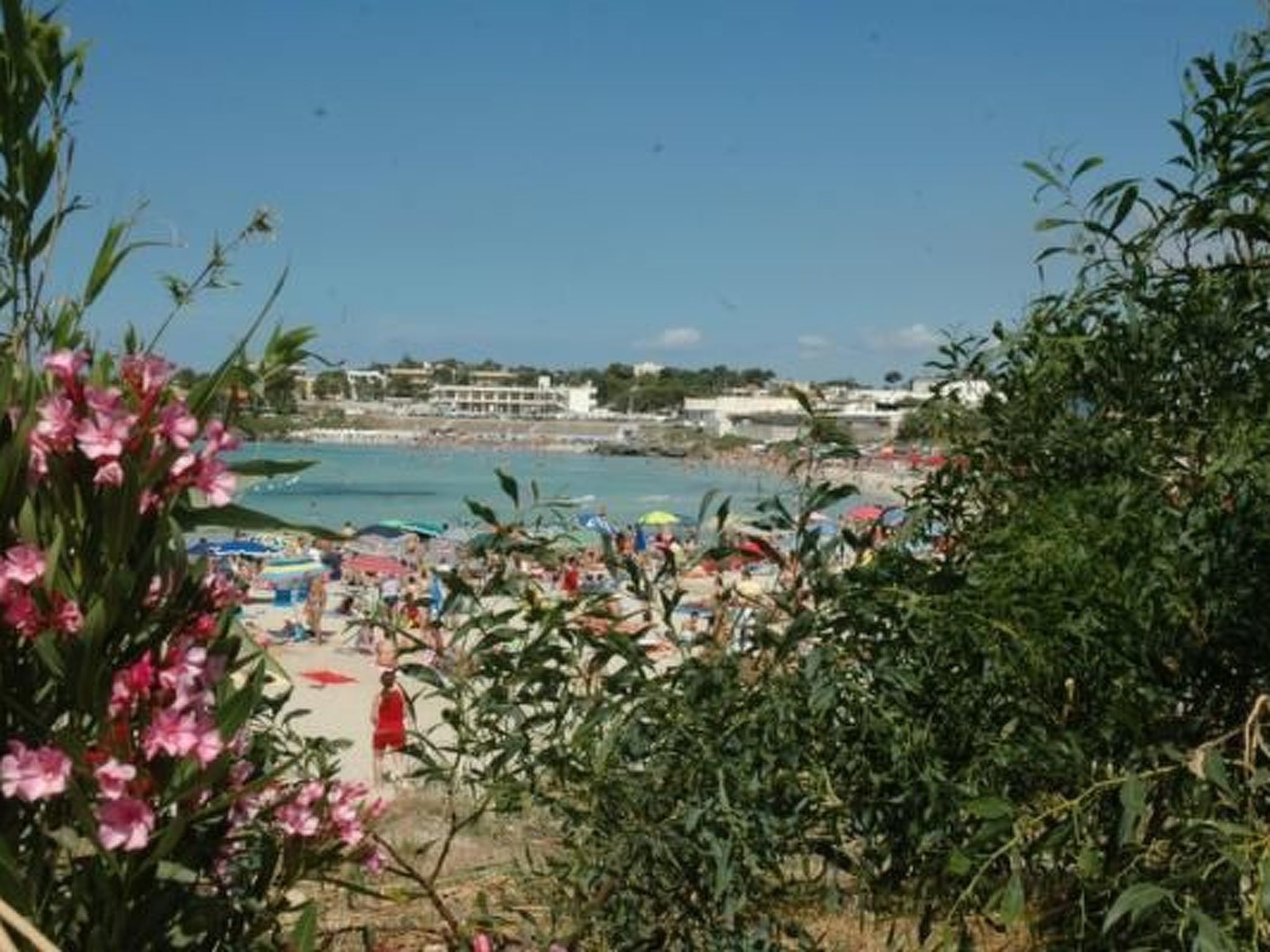 In Marina di Pulsano-Image-tags.info