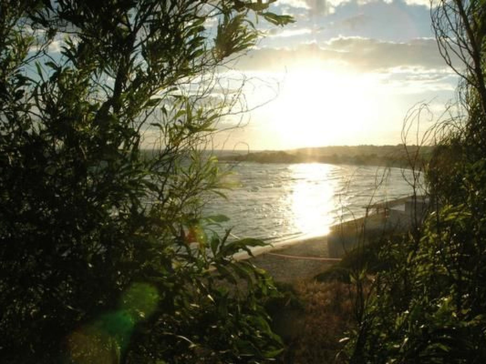 In Marina di Pulsano-Image-tags.info