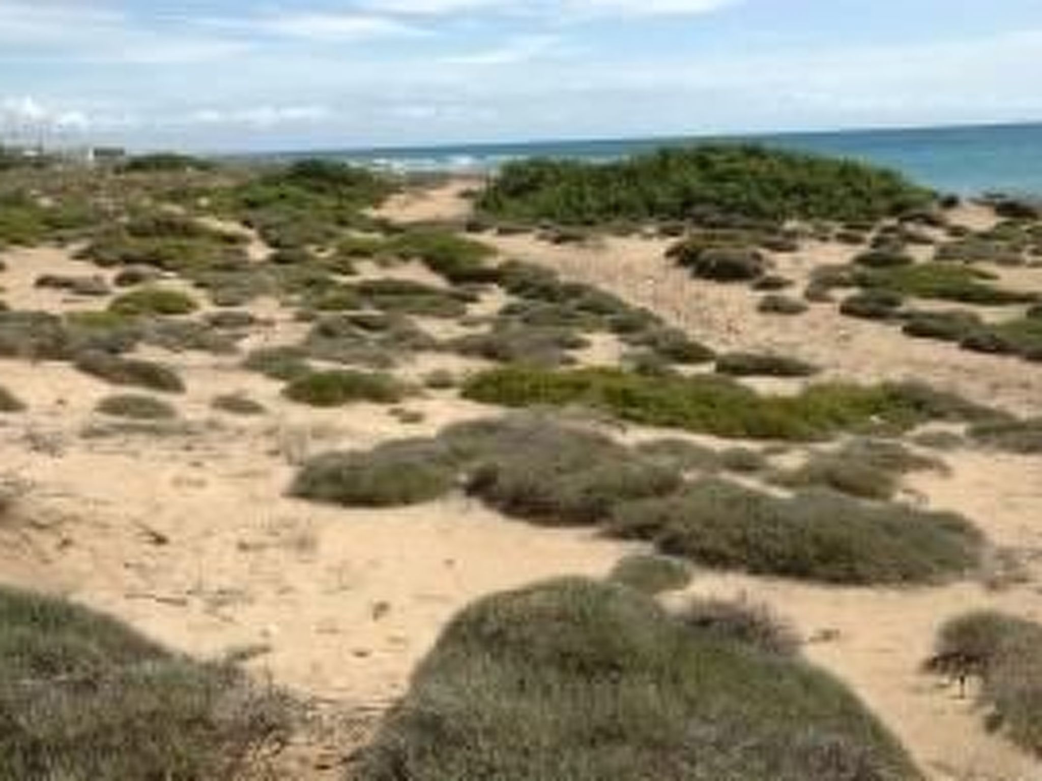 Geräumige Erdgeschosswohnung für bis zu sechs Personen-Image-tags.info