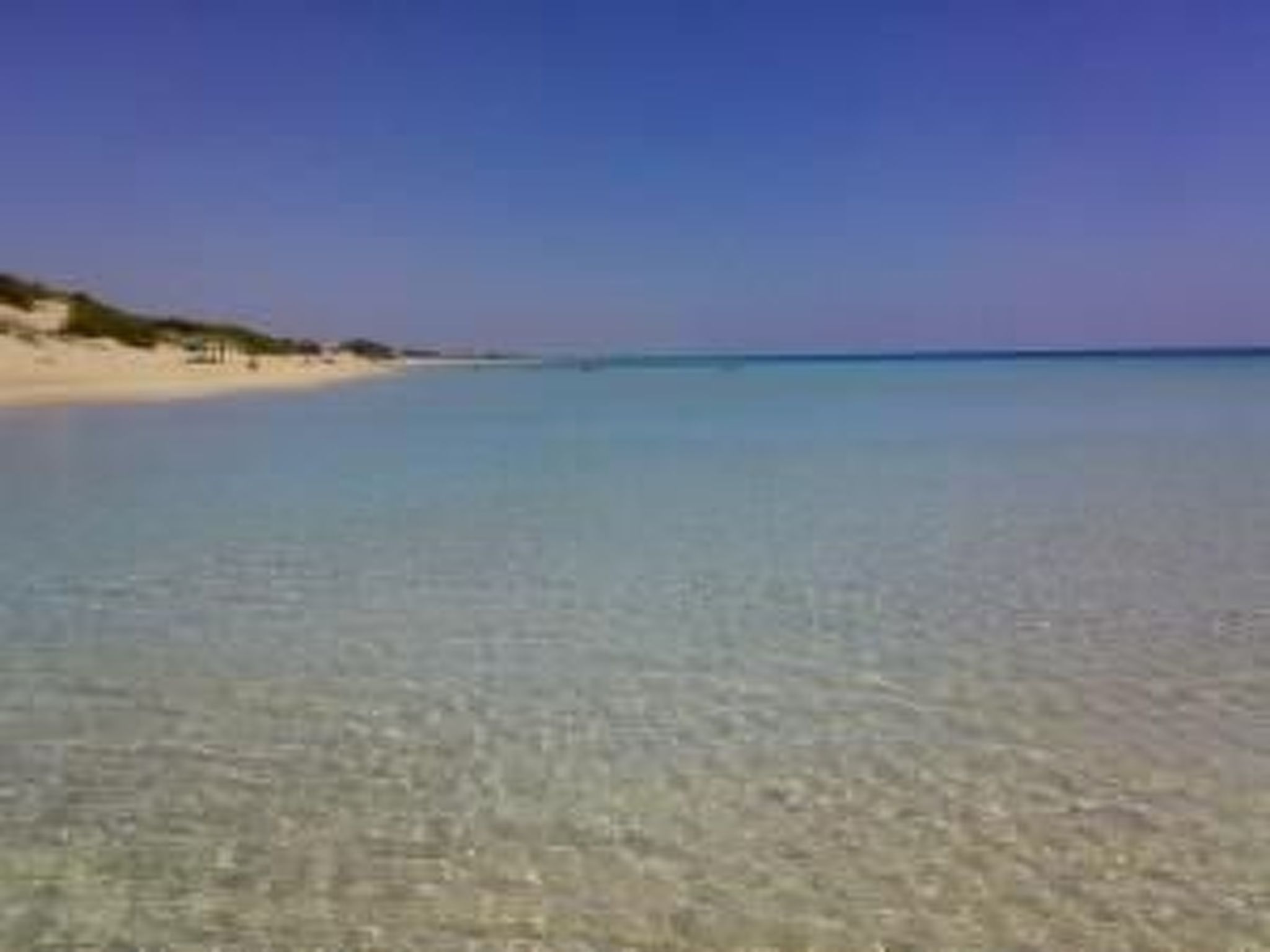 Delphin"-Studio mit Terrasse und Garten-Image-tags.info