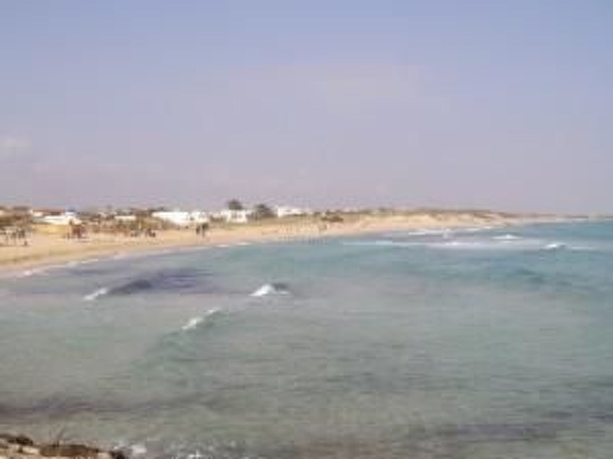 Delphin"-Studio mit Terrasse und Garten-Image-tags.info